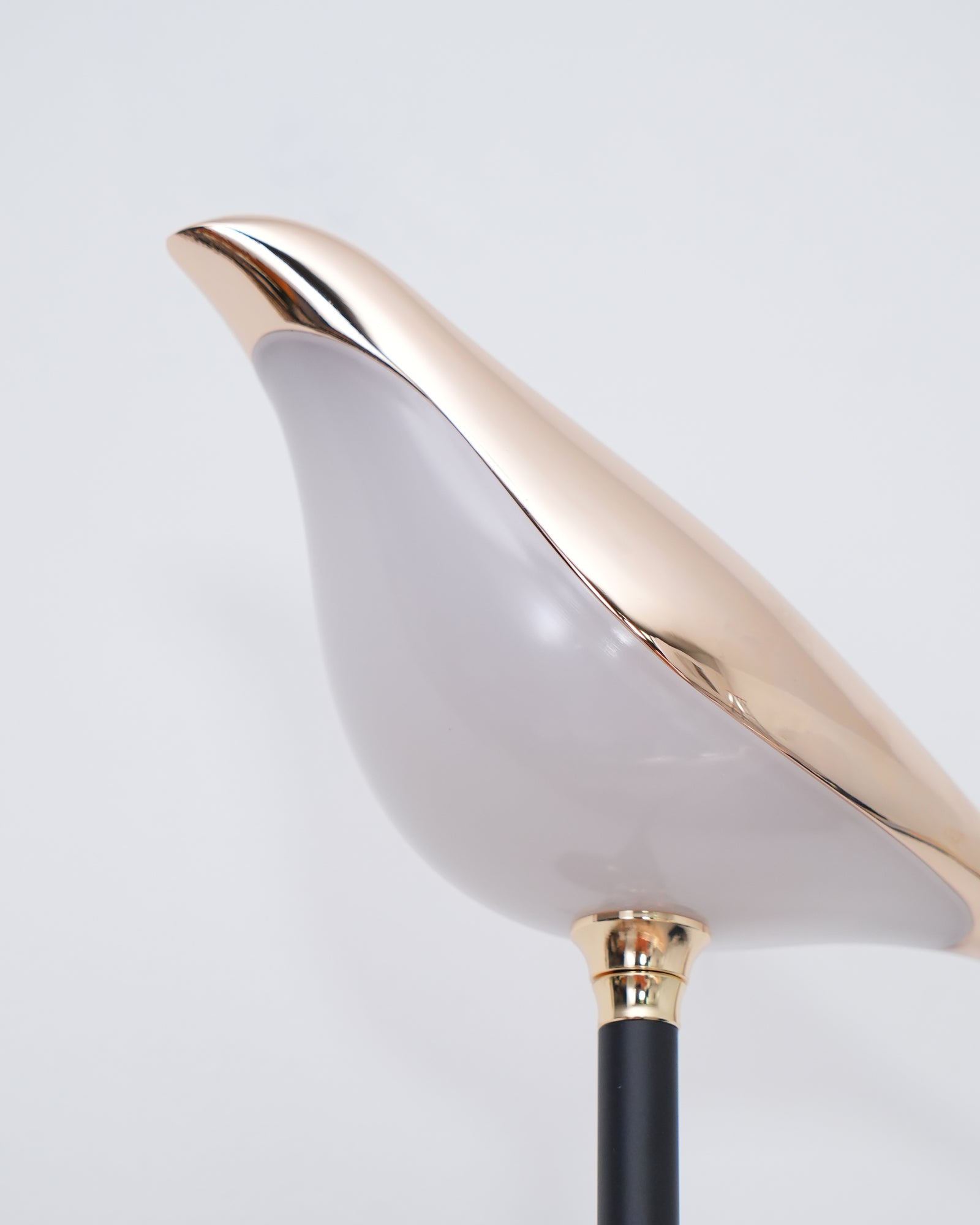 ノミ ウォールランプ