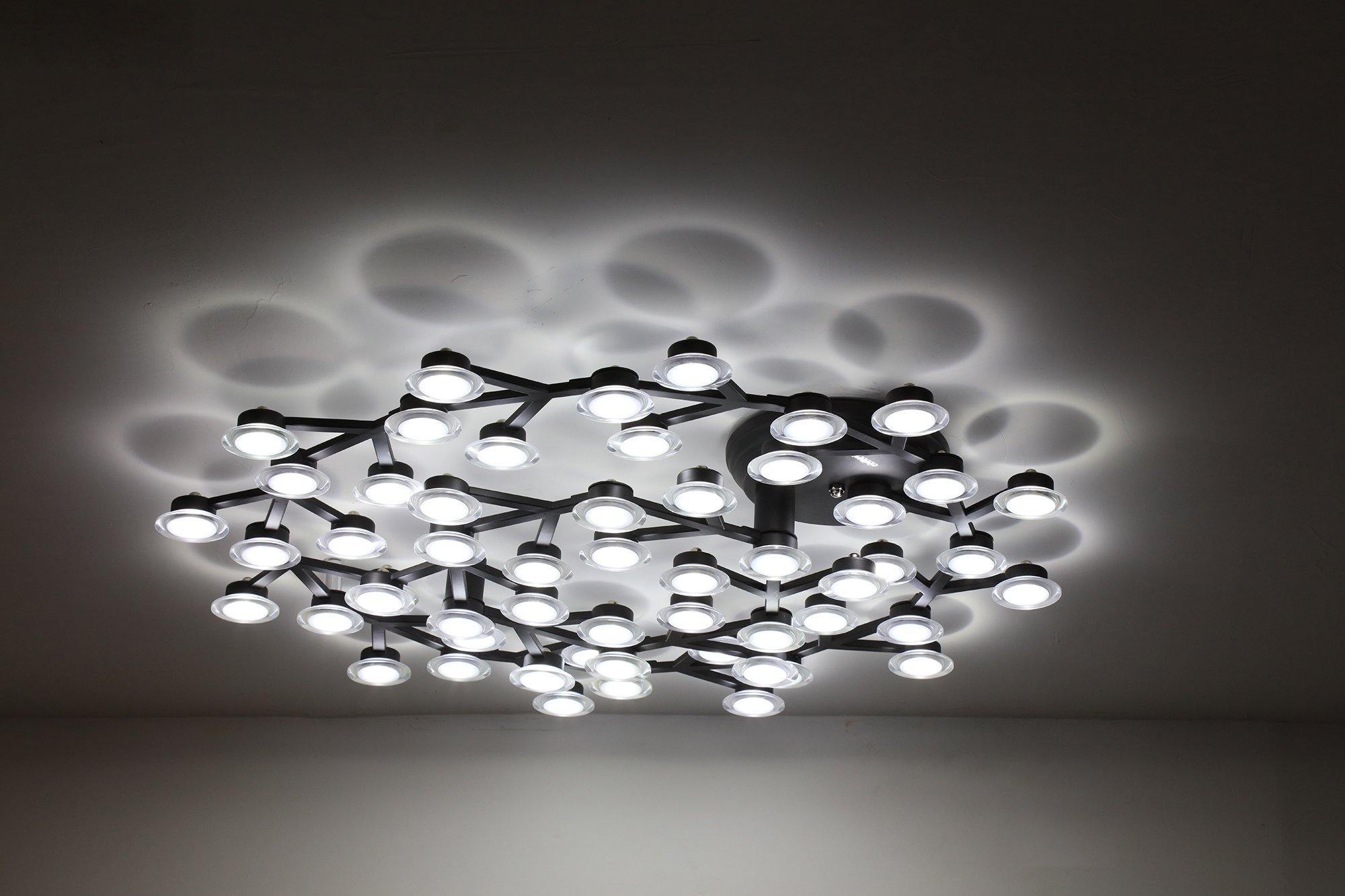 LED Net Ceiling Lamp