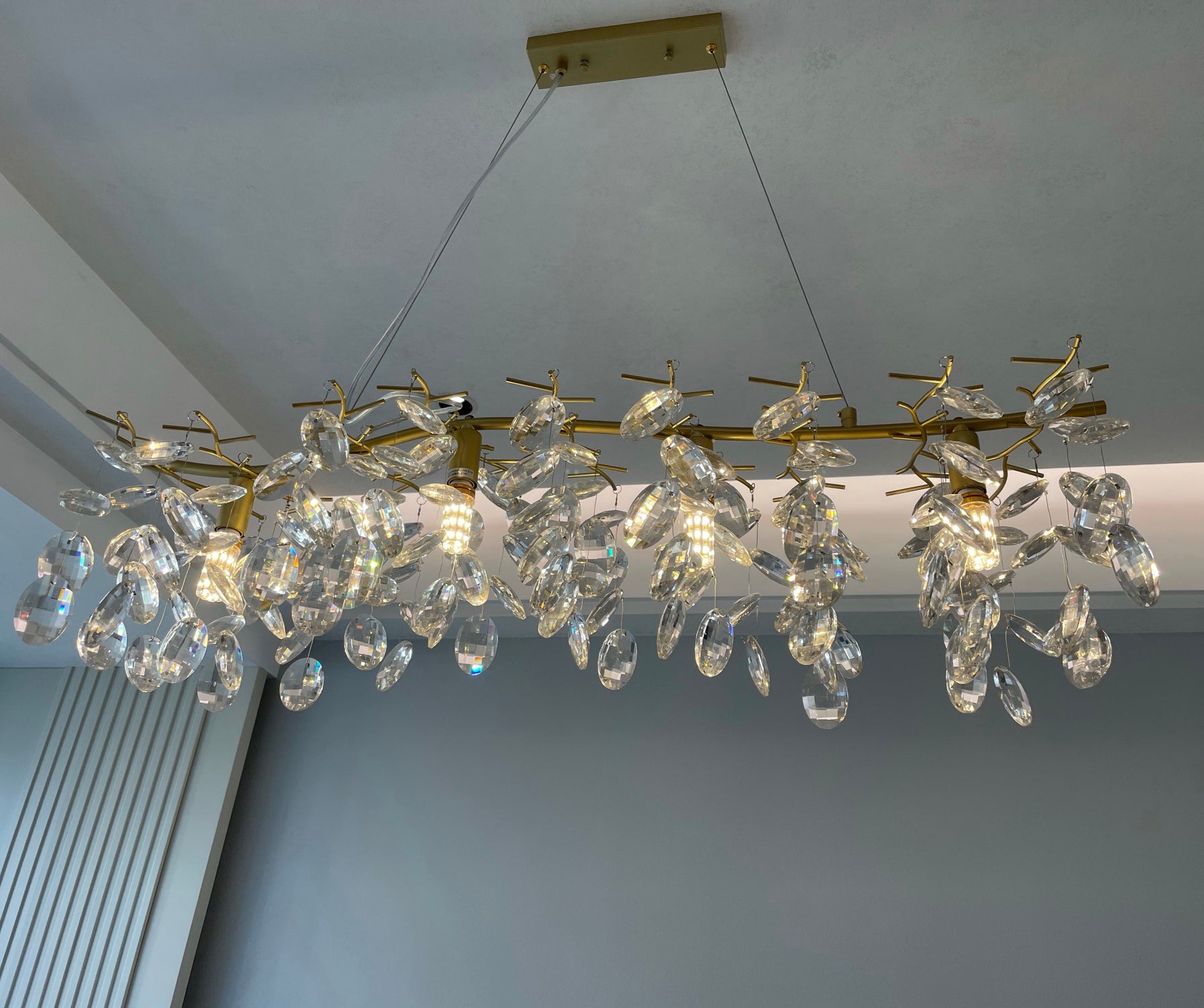 Sofia Chandelier
