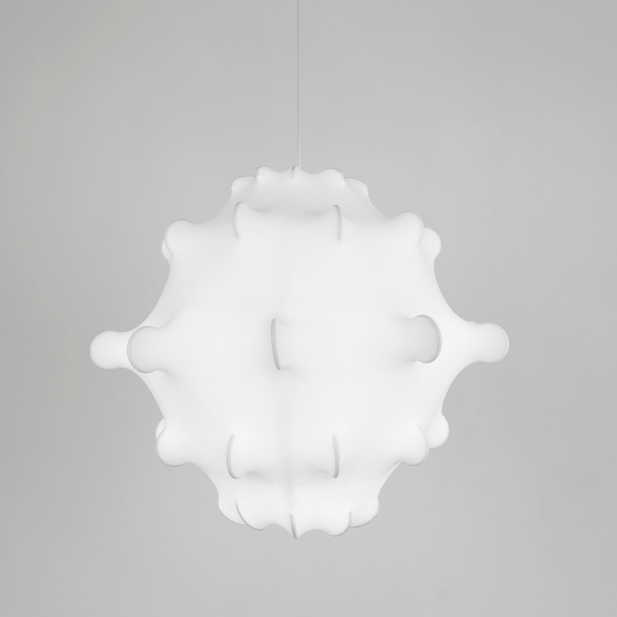 Taraxacum Suspension Lamp