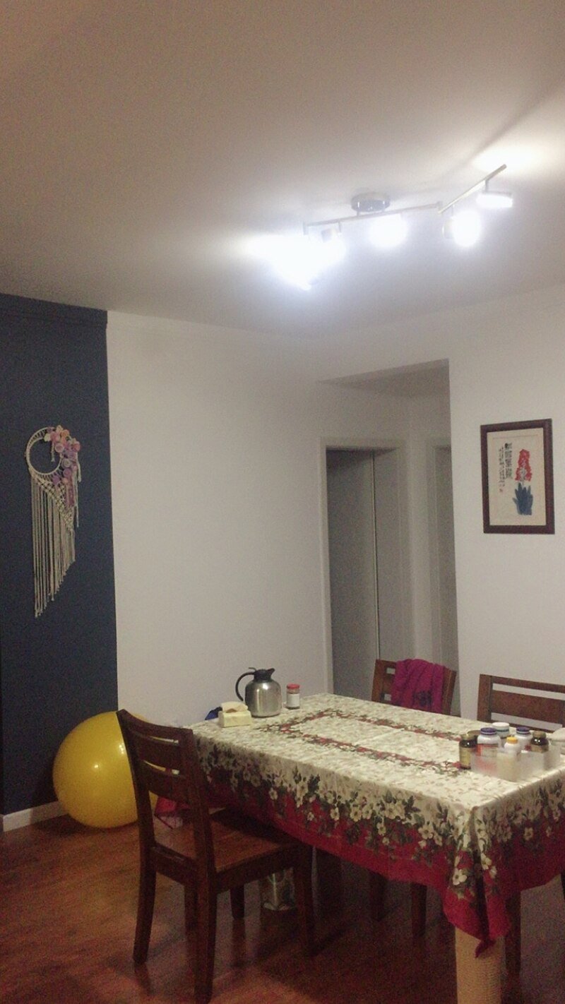 トラックライト シーリングライト