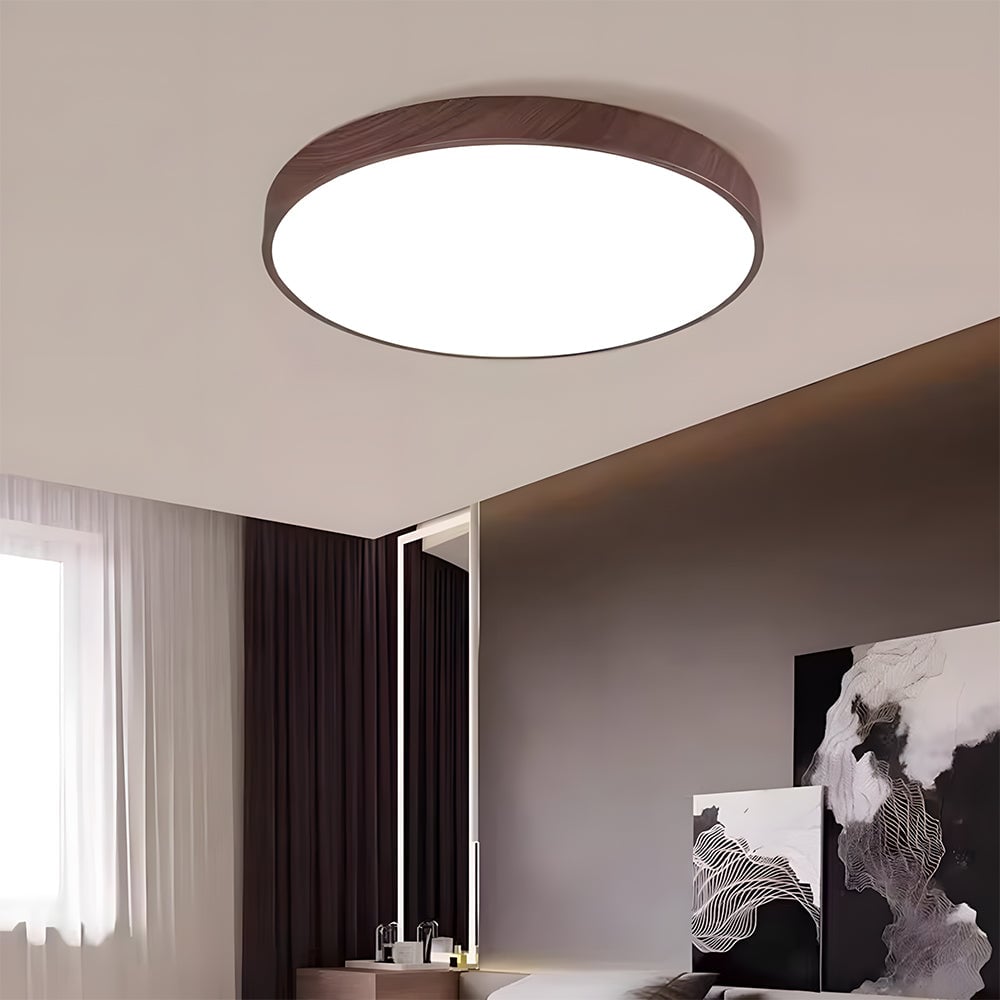 モダンな天井ランプ リビングルーム LED照明