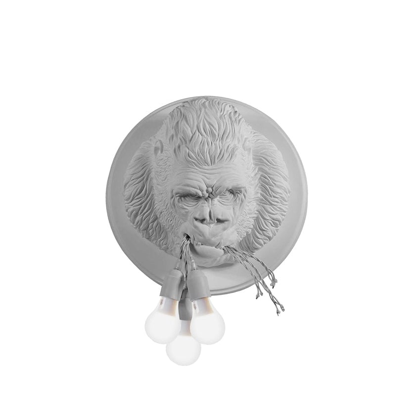 Rilla Wall Sconce