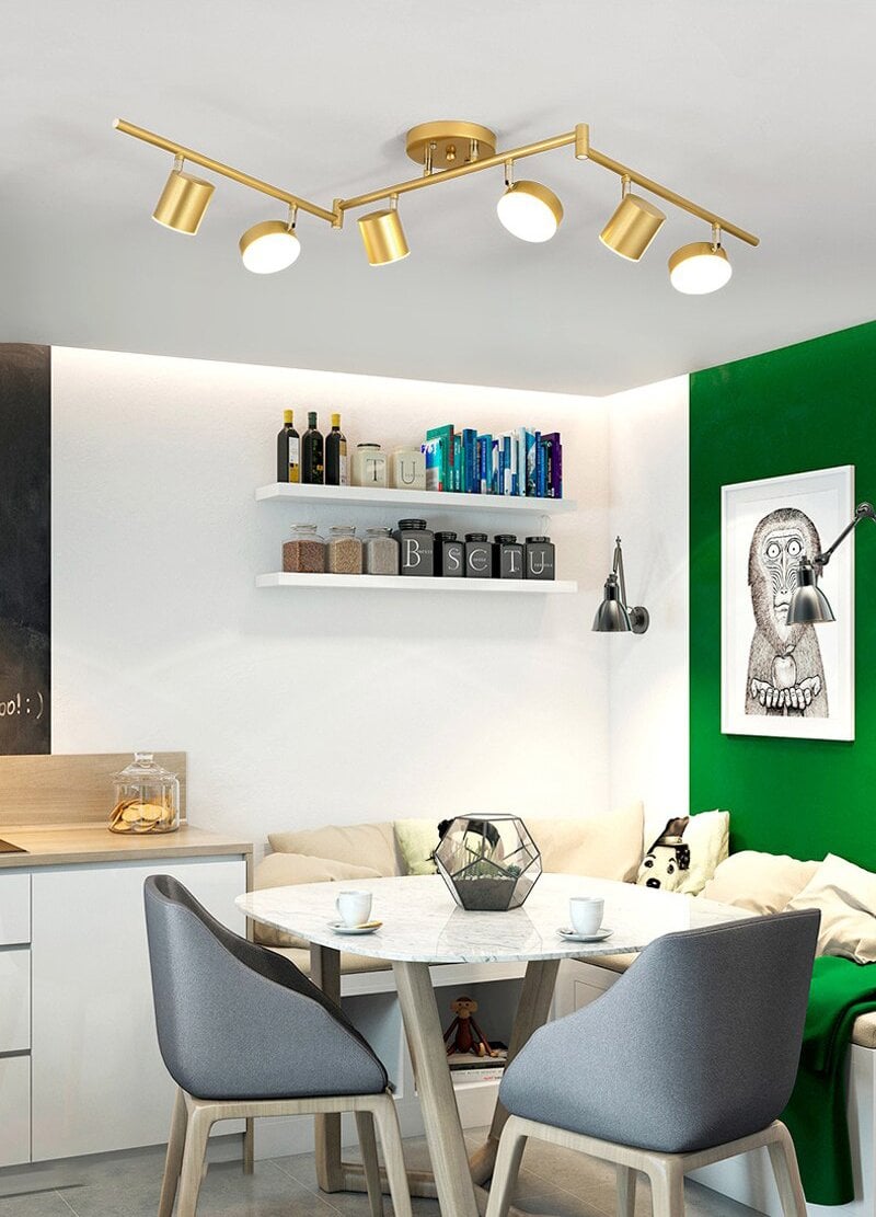 トラックライト シーリングライト