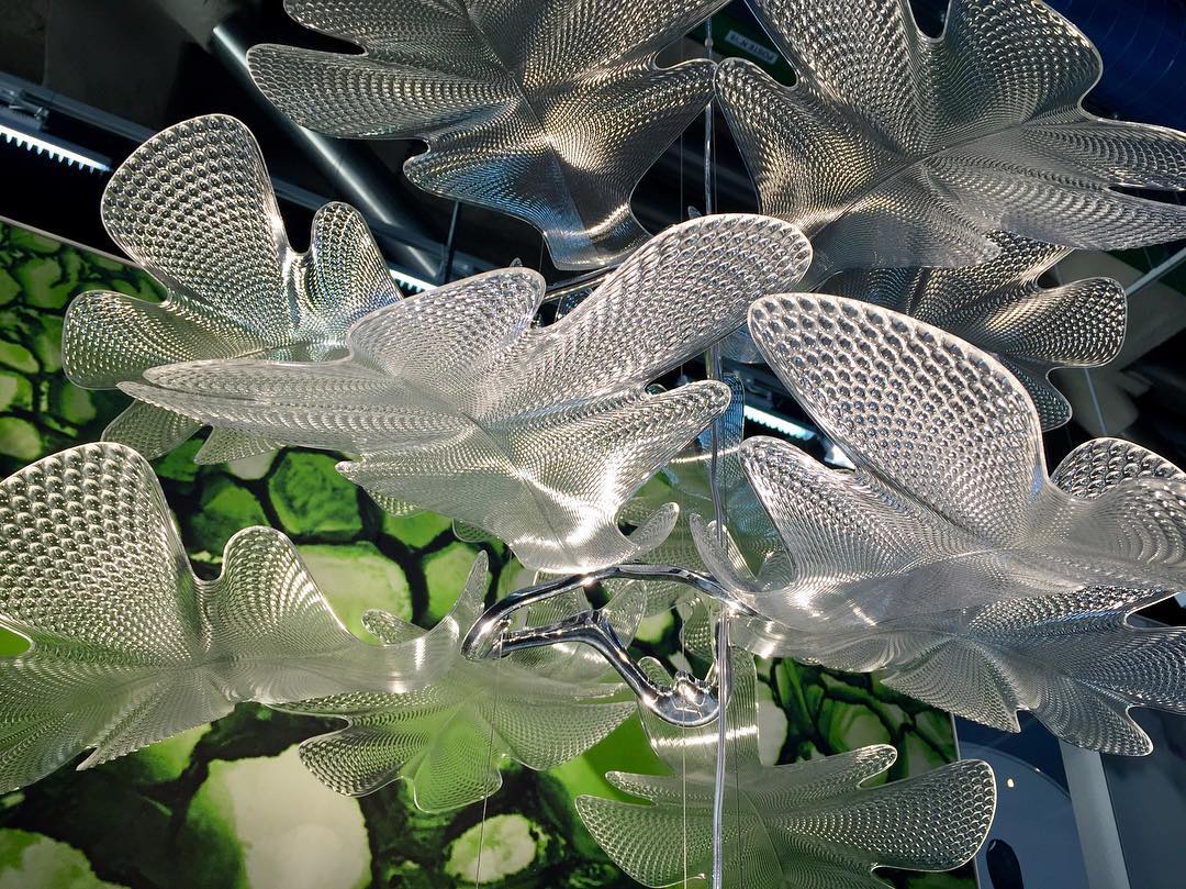 Chlorophilia Suspension Light