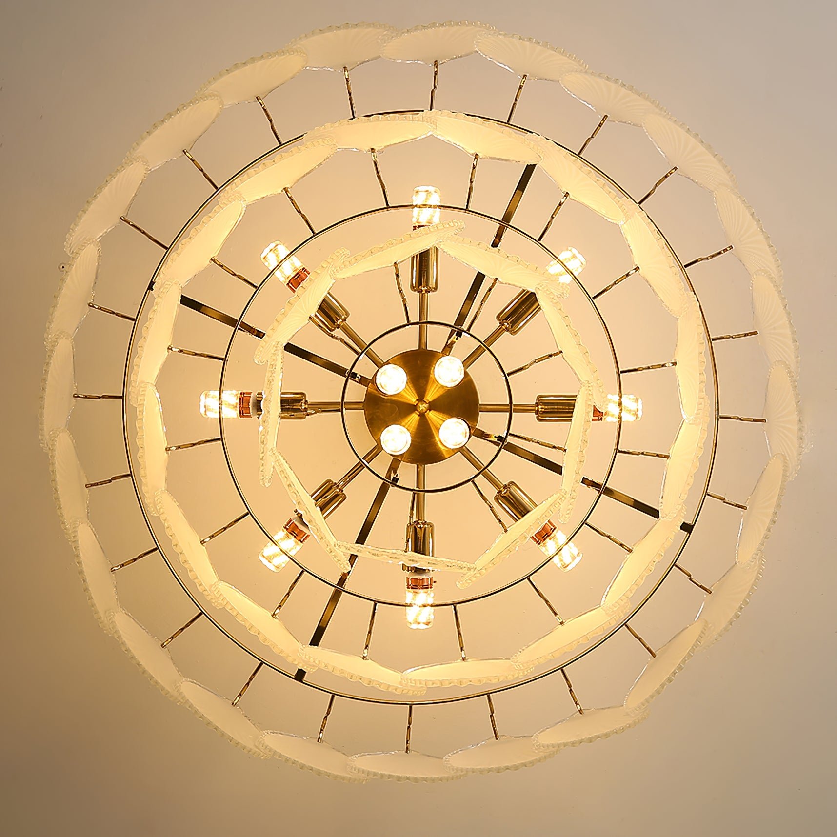 Shell Glass chandelier