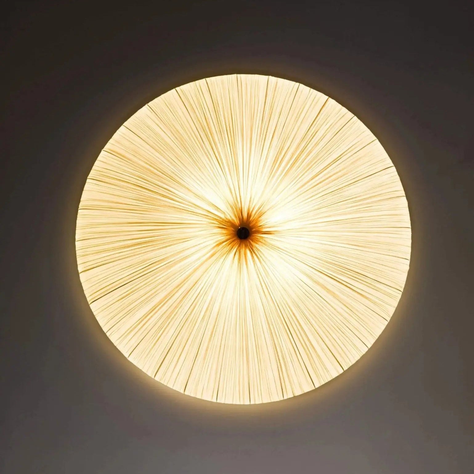 古楼子タッセル天井ランプ