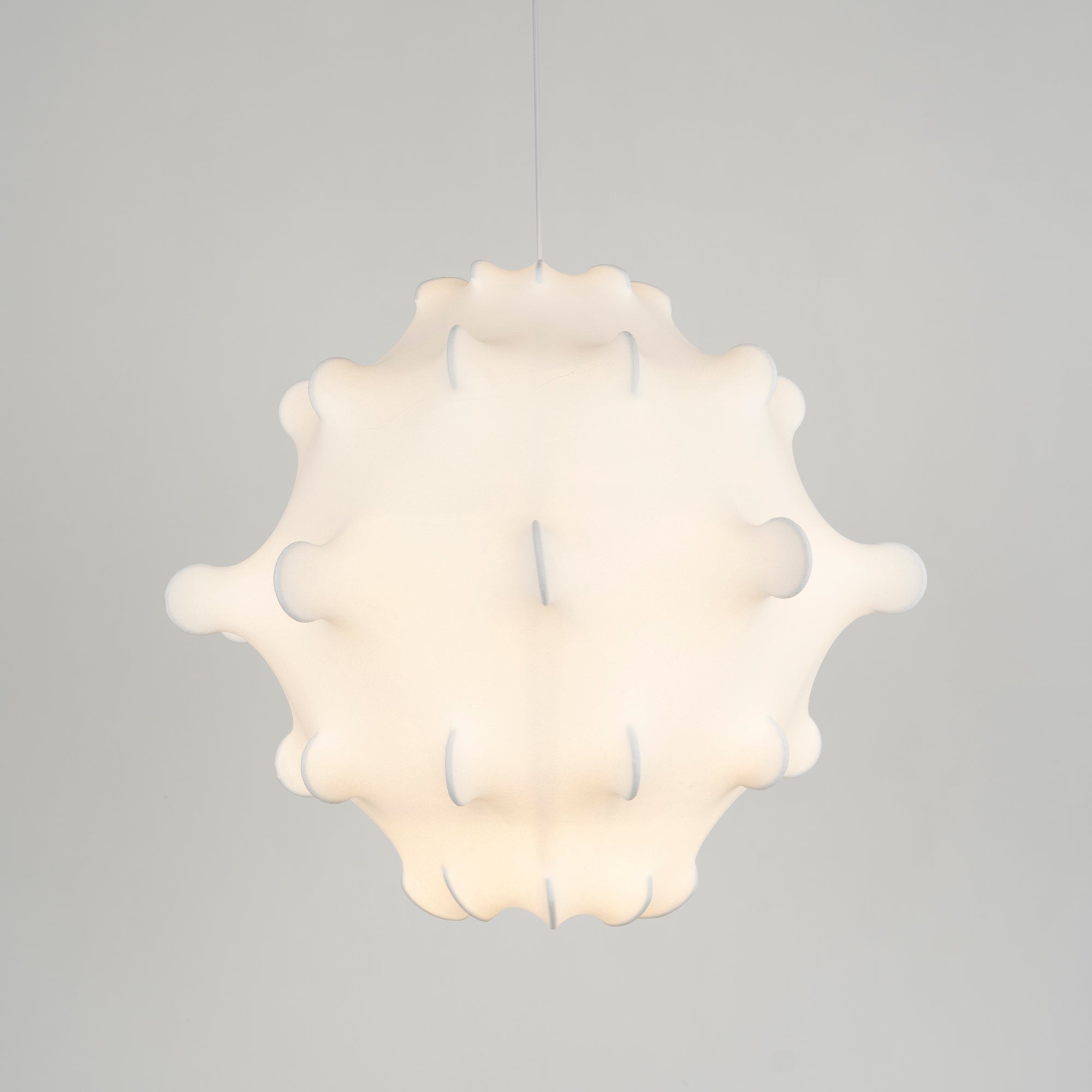 Taraxacum Suspension Lamp