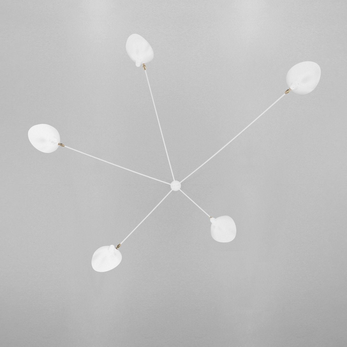 セルジュ・ムーユ シーリングランプ B