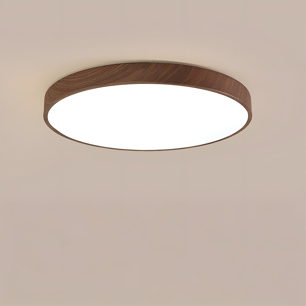 モダンな天井ランプ リビングルーム LED照明