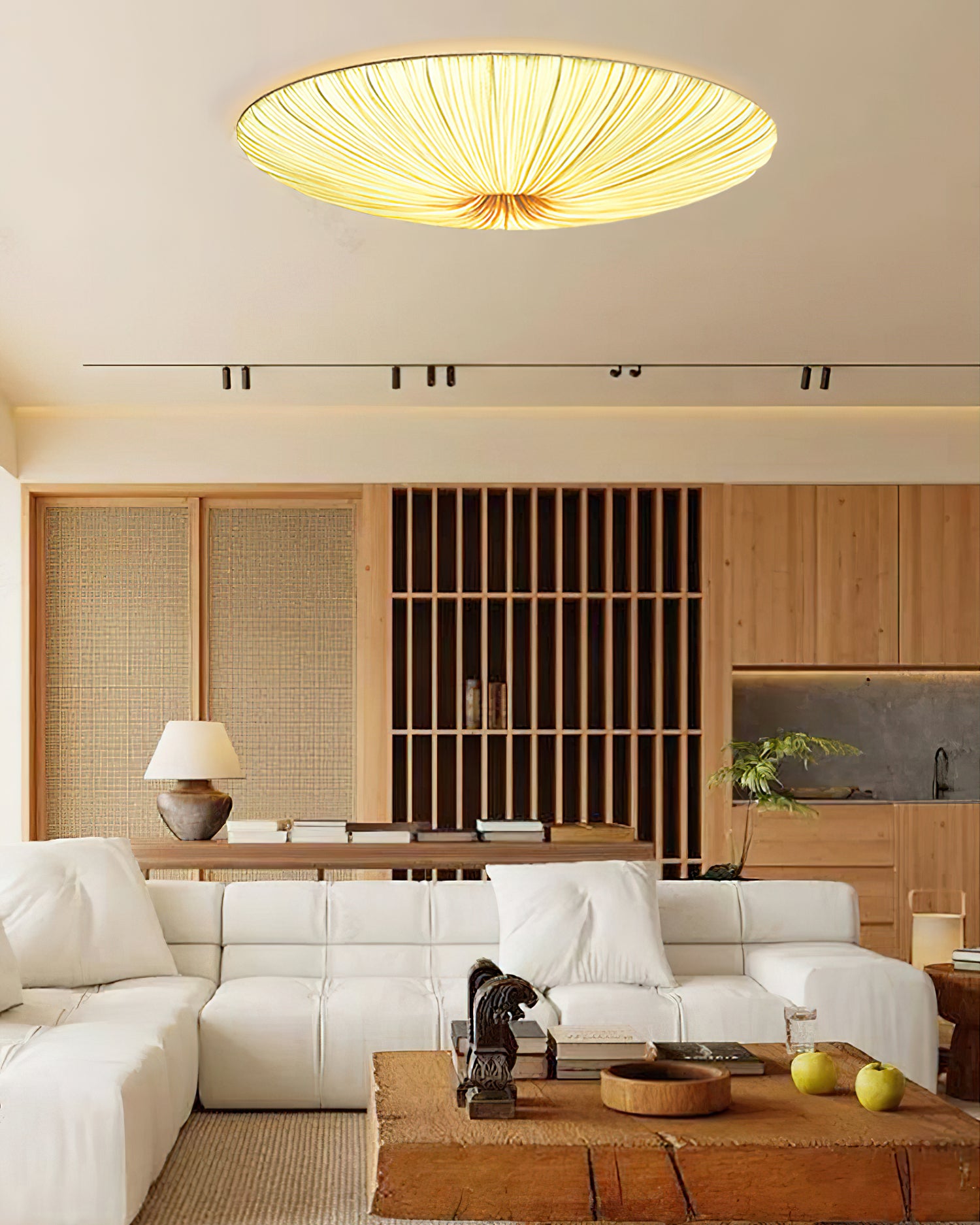 古楼子タッセル天井ランプ