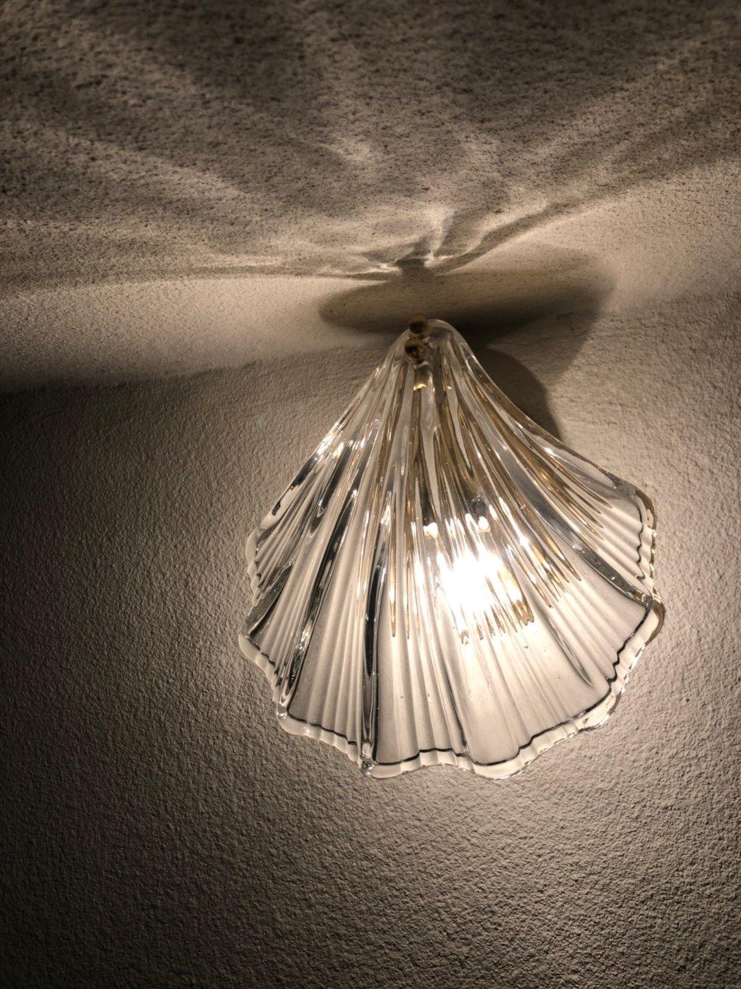 Shell Wall Light