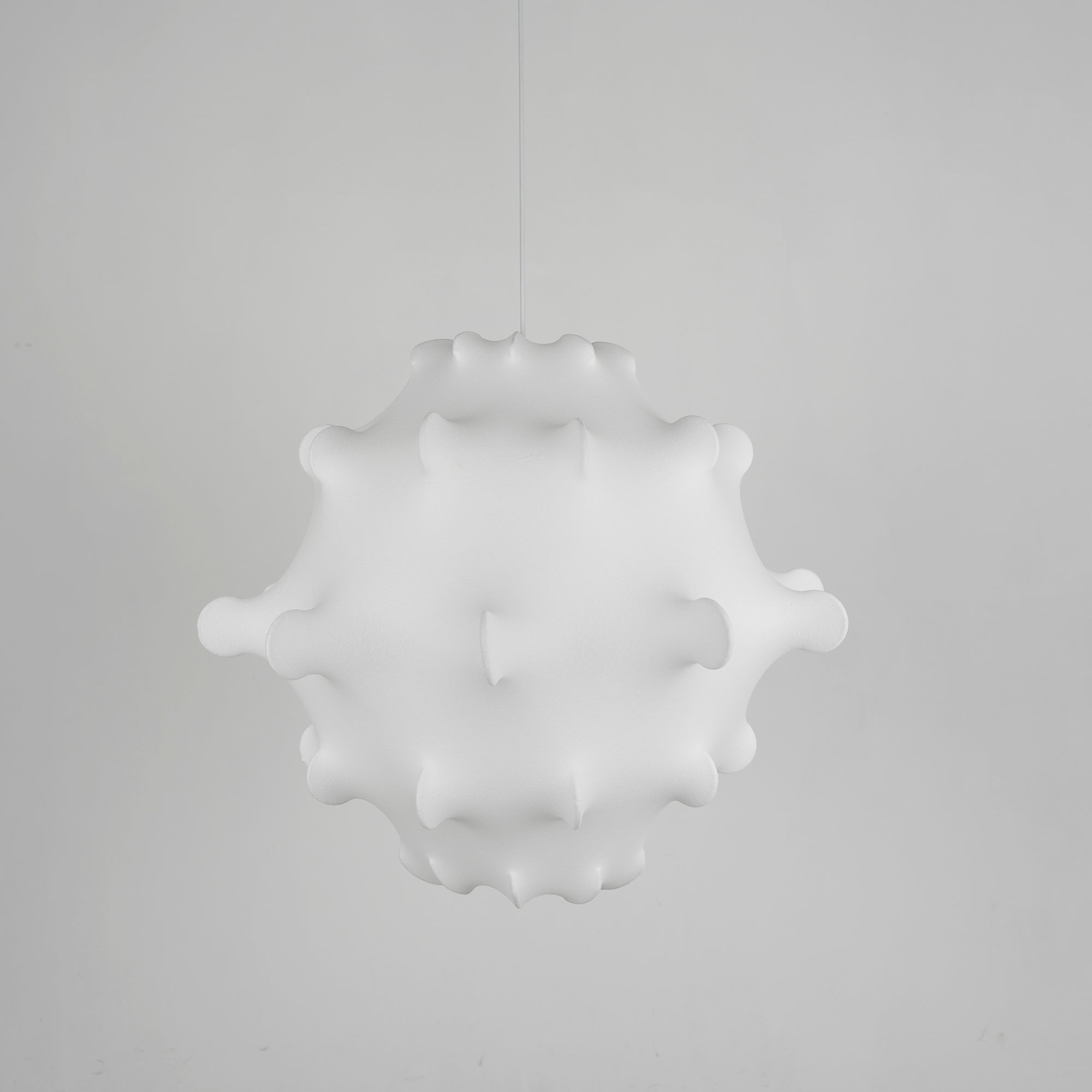 Taraxacum Suspension Lamp