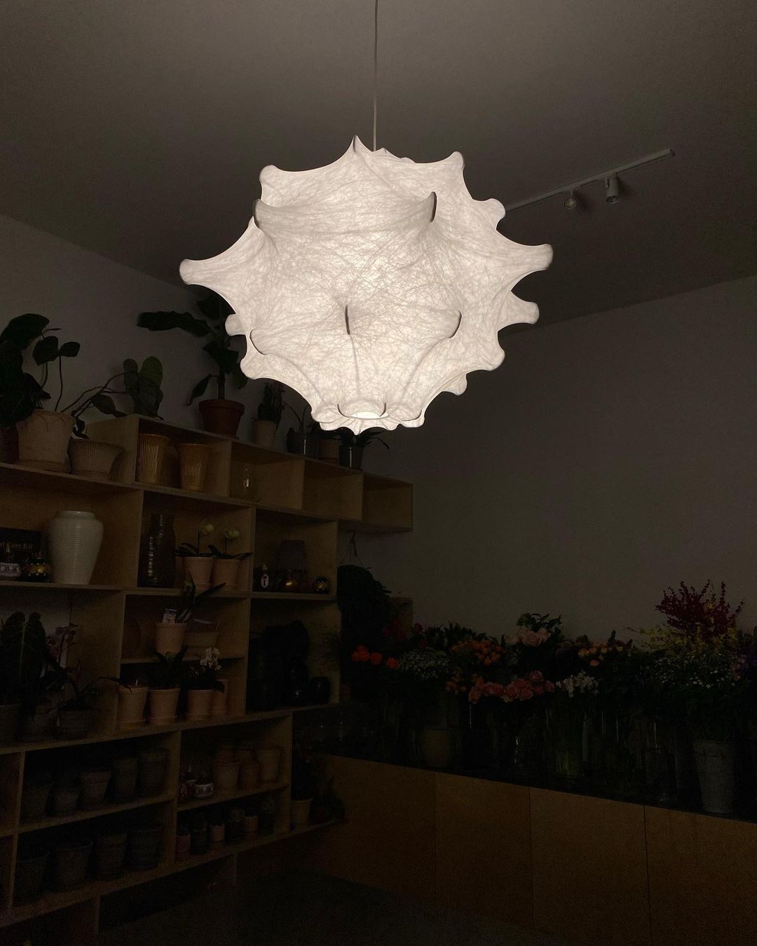 Taraxacum Suspension Lamp