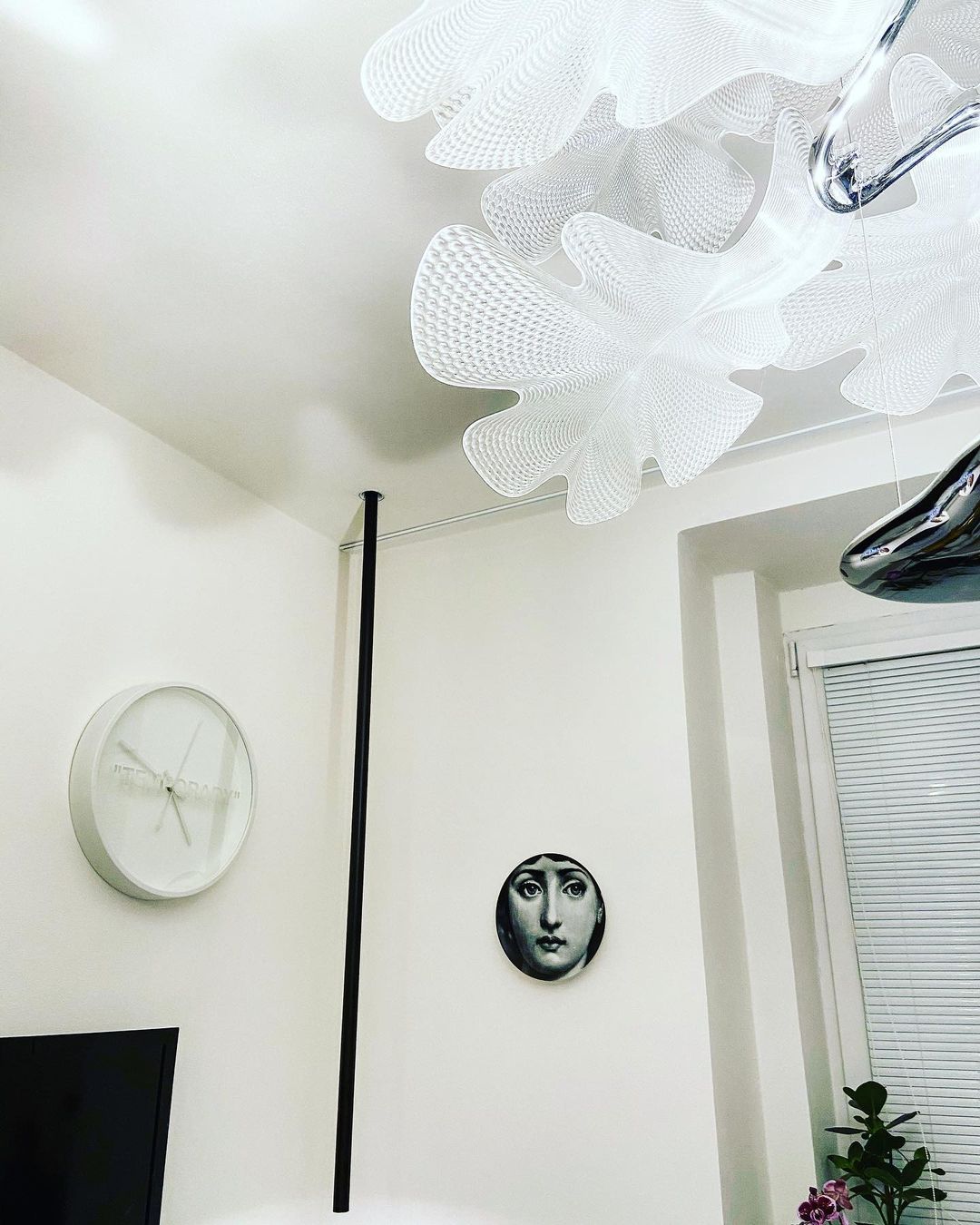 クロロフィリアサスペンションライト