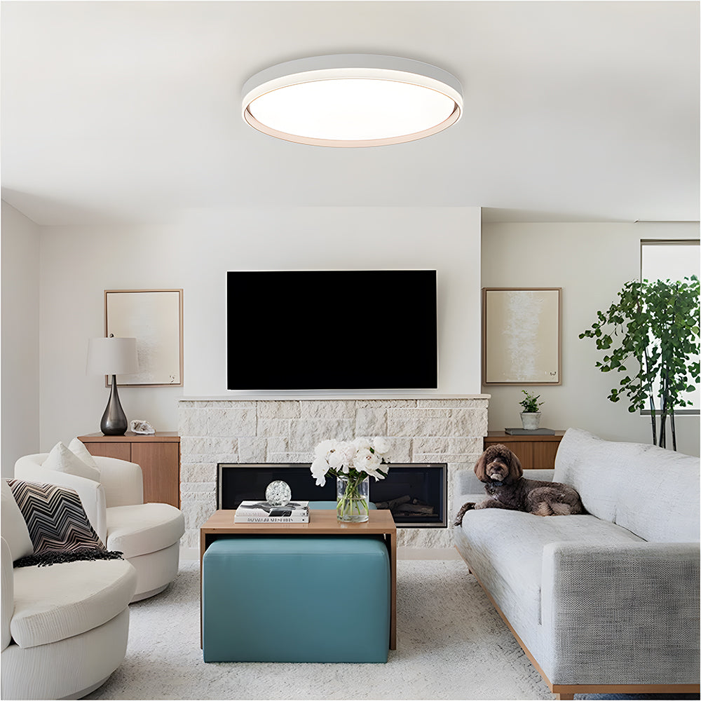 シンプルでミニマリストな超薄型フラッシュシーリングランプ