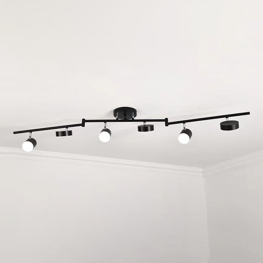 Track Light Ceiling Light