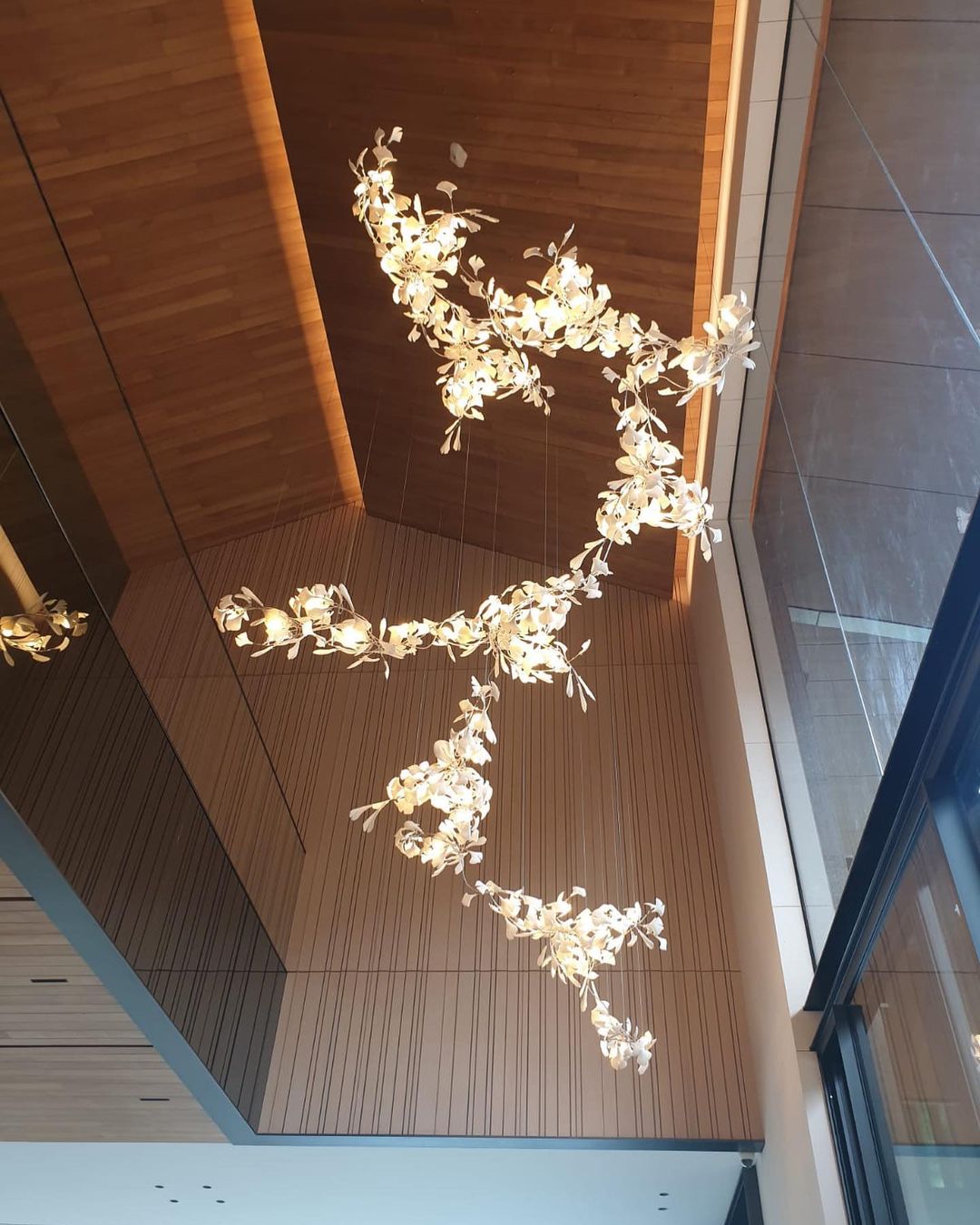Gingko Chandelier B