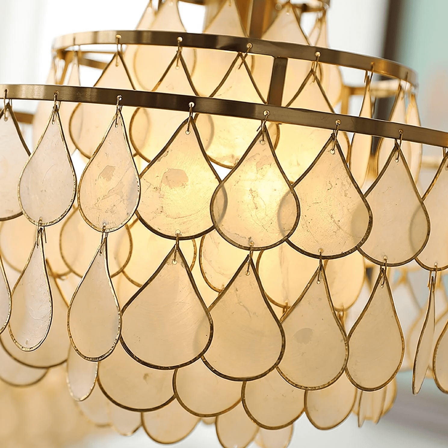 Abbington Shell Chandelier