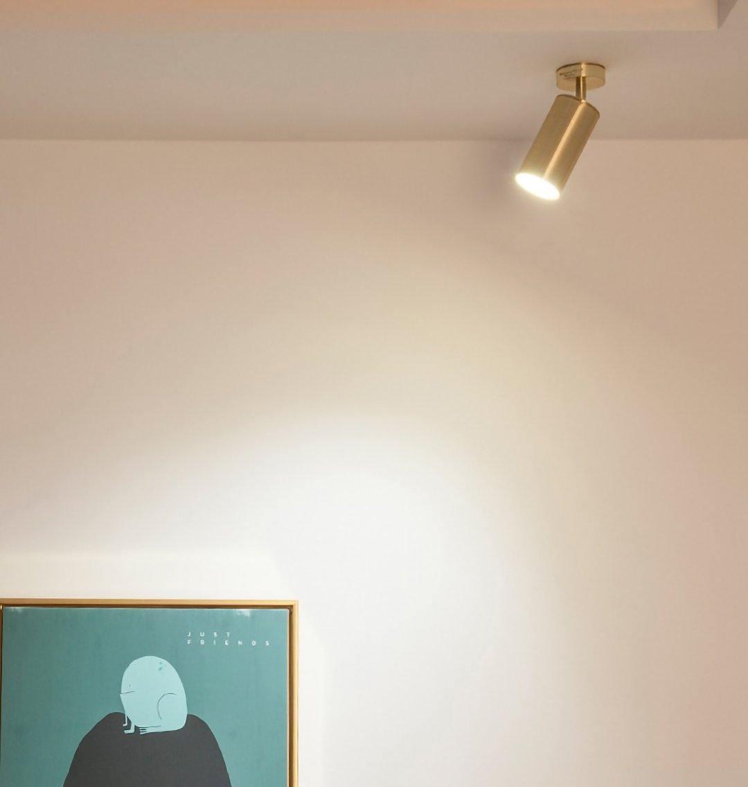 Modern Delia Ceiling Lamp