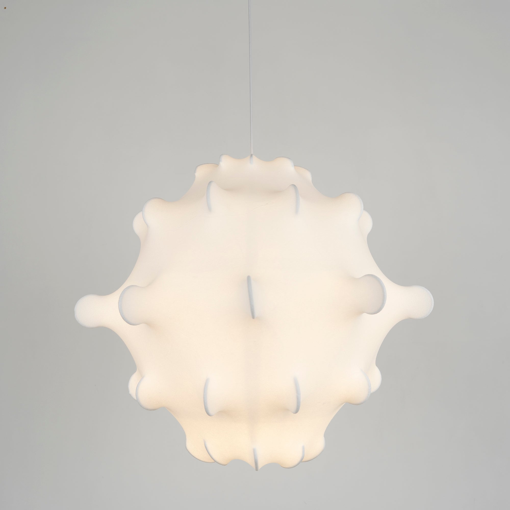 Taraxacum Suspension Lamp