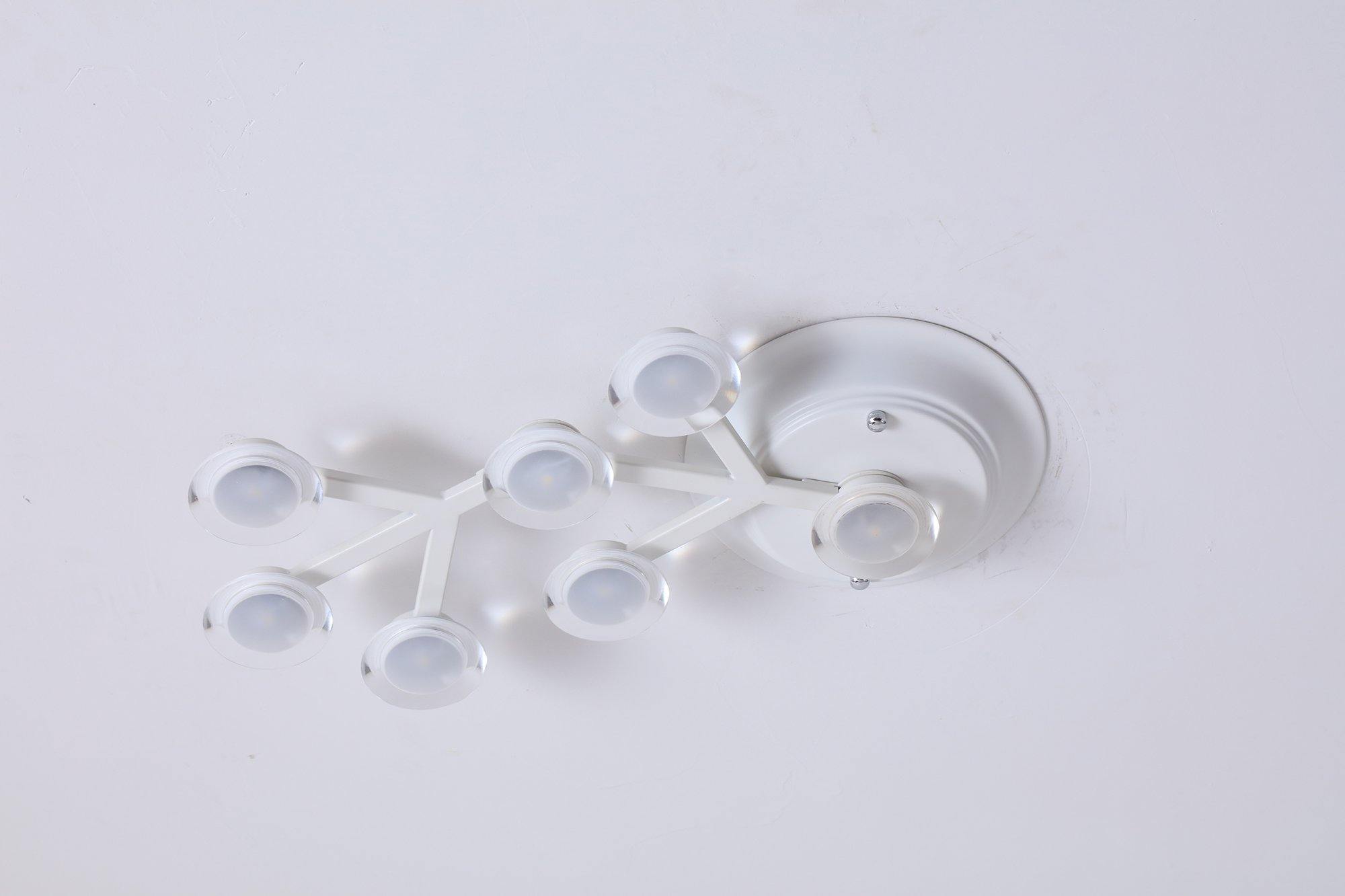 LED Net Ceiling Lamp