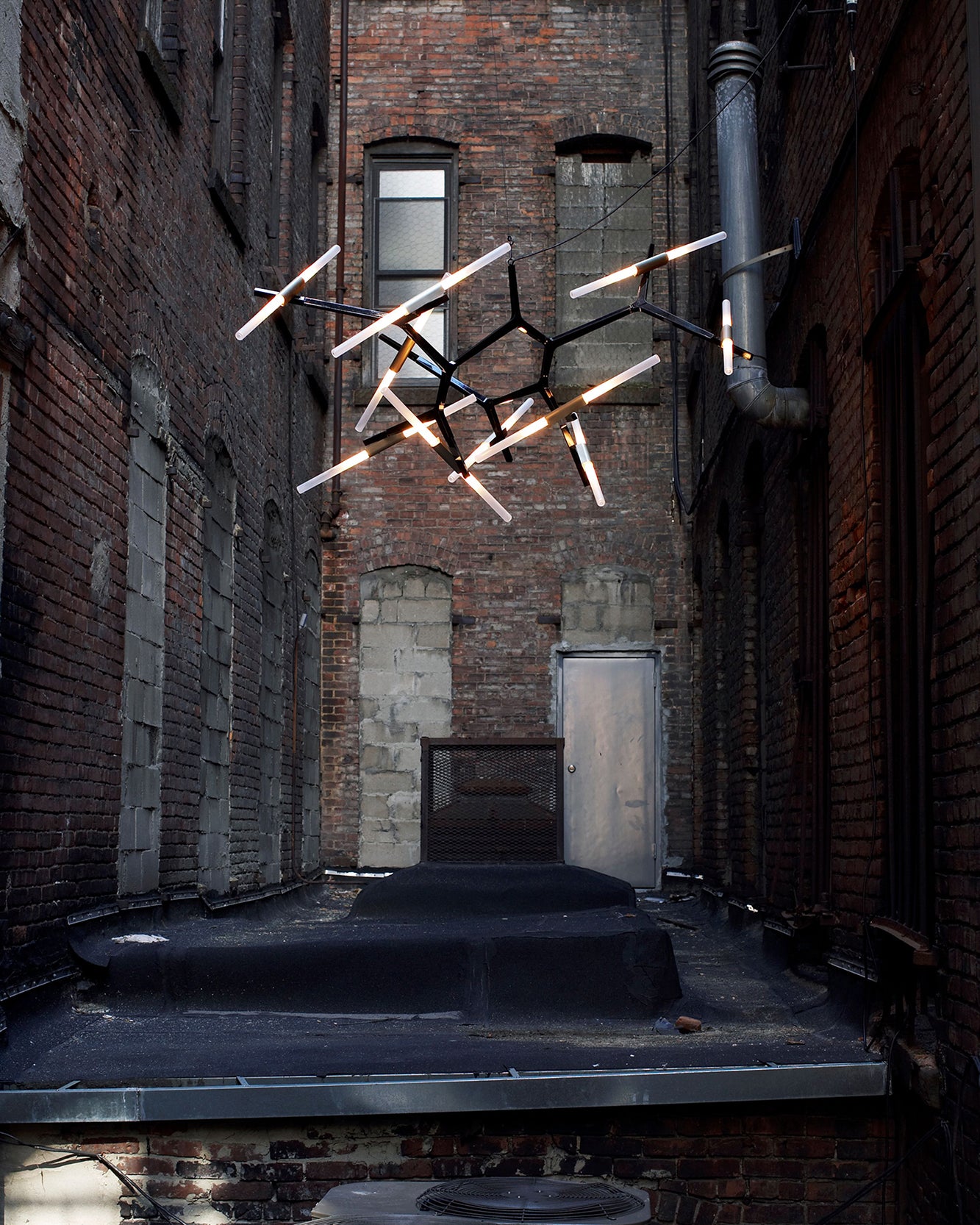 木の枝のシャンデリア