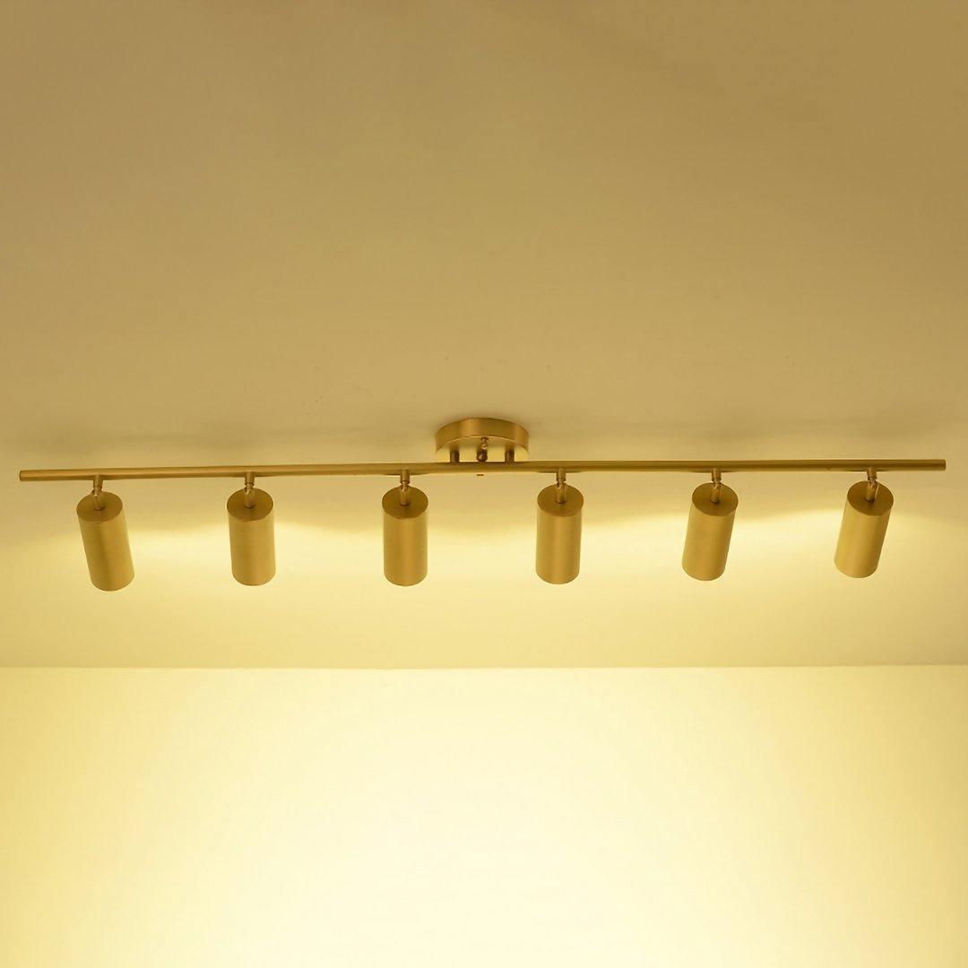Modern Delia Ceiling Lamp