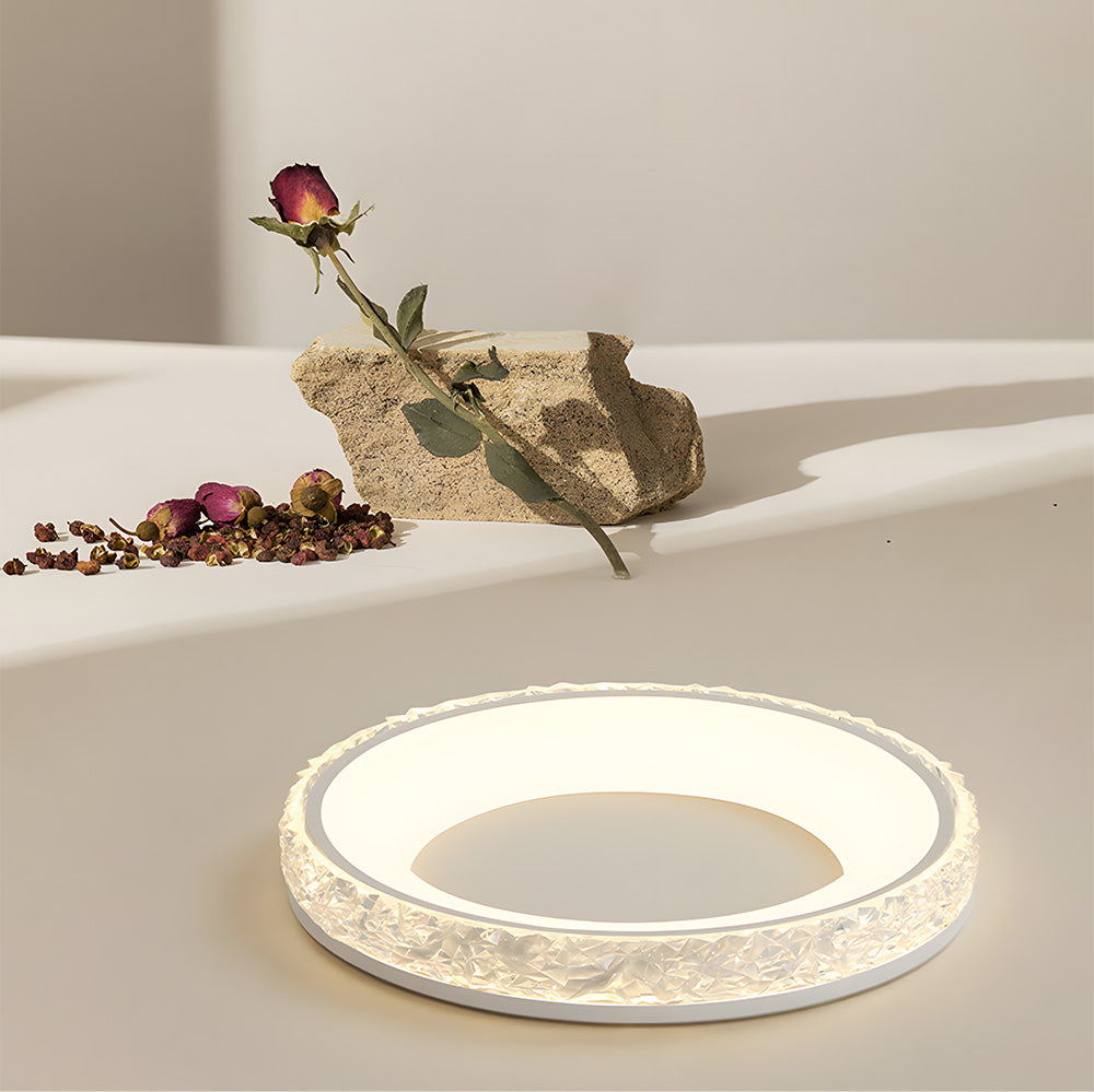 モダンな鉄製調光LEDリビングルーム天井照明