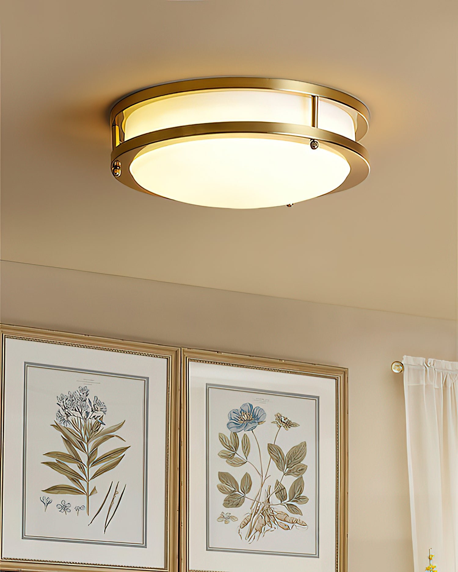 Bellacor Ceiling Lamp