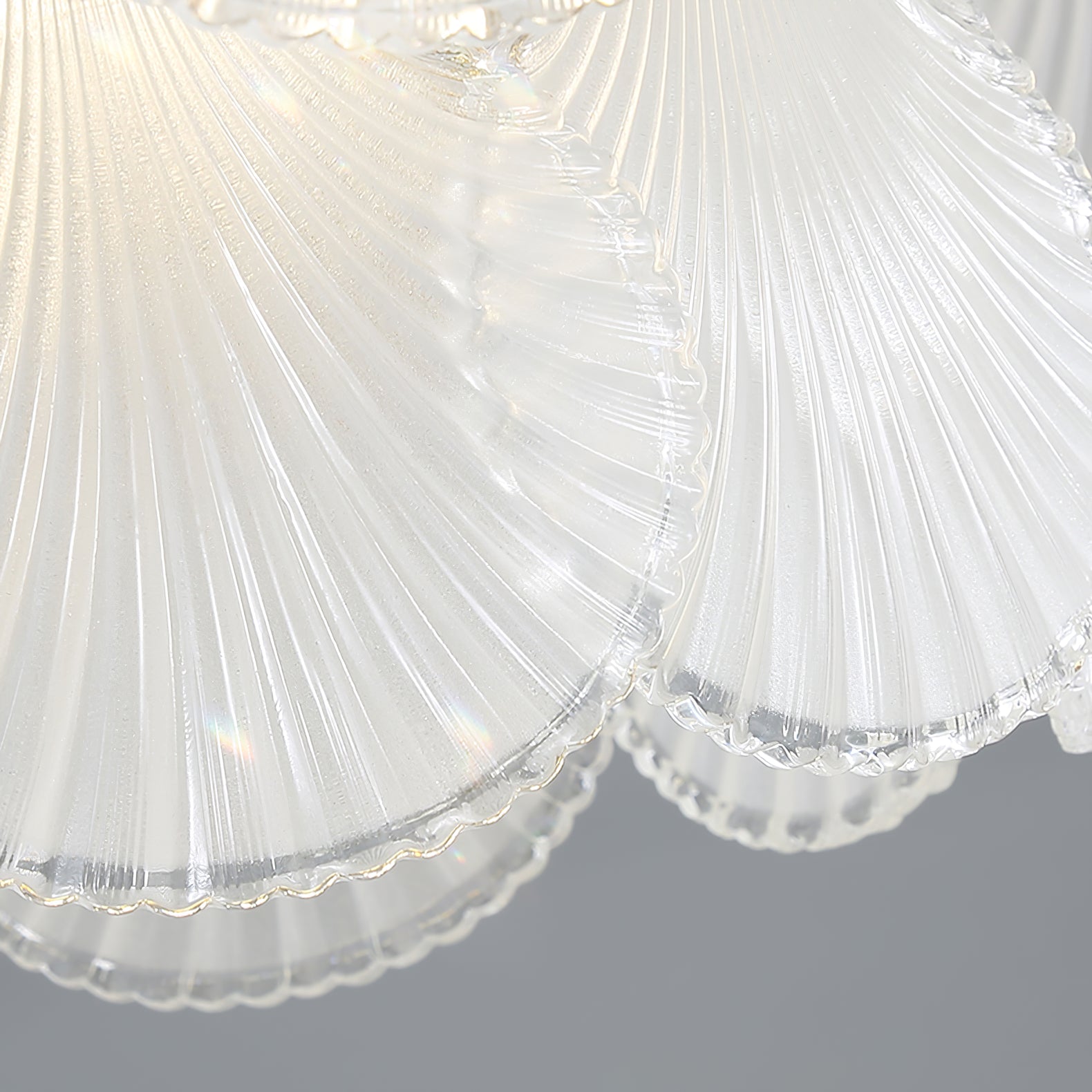Shell Glass chandelier