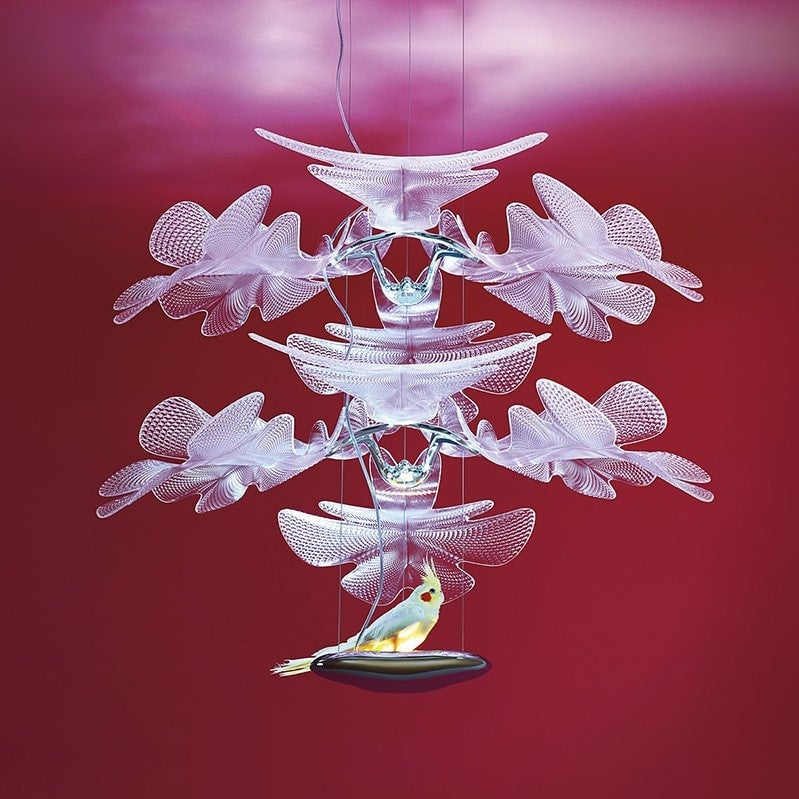 Chlorophilia Suspension Light