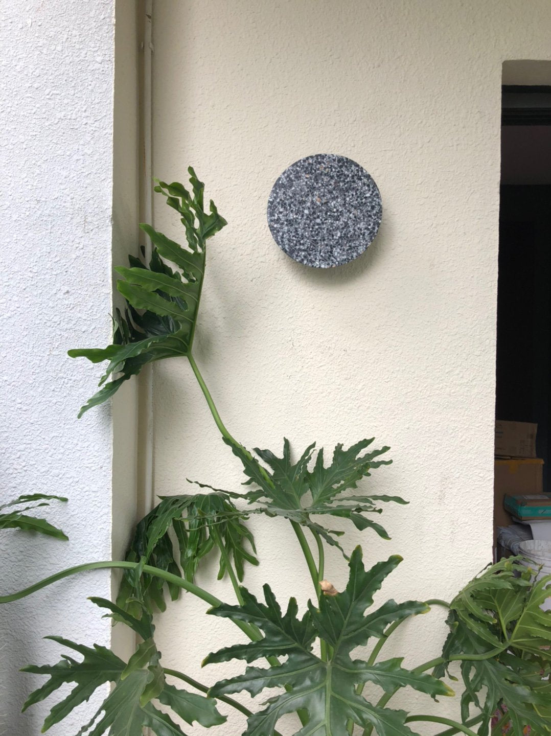 ピンウォールランプ