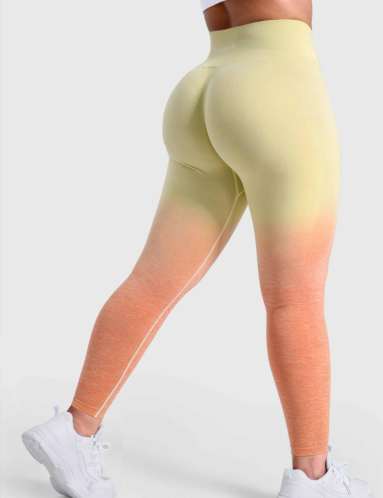 Yeoreo Ombre Amplify Seamless Leggings