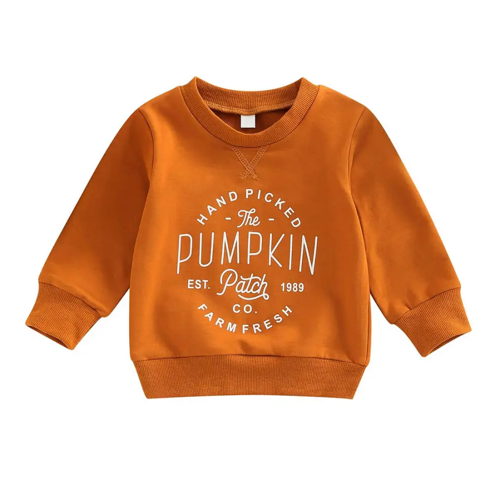 Pumpkin Toddler Sweatshirt
