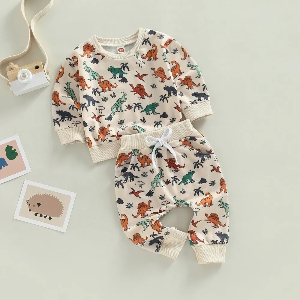 Boys Dinosaur Print Pullover Set