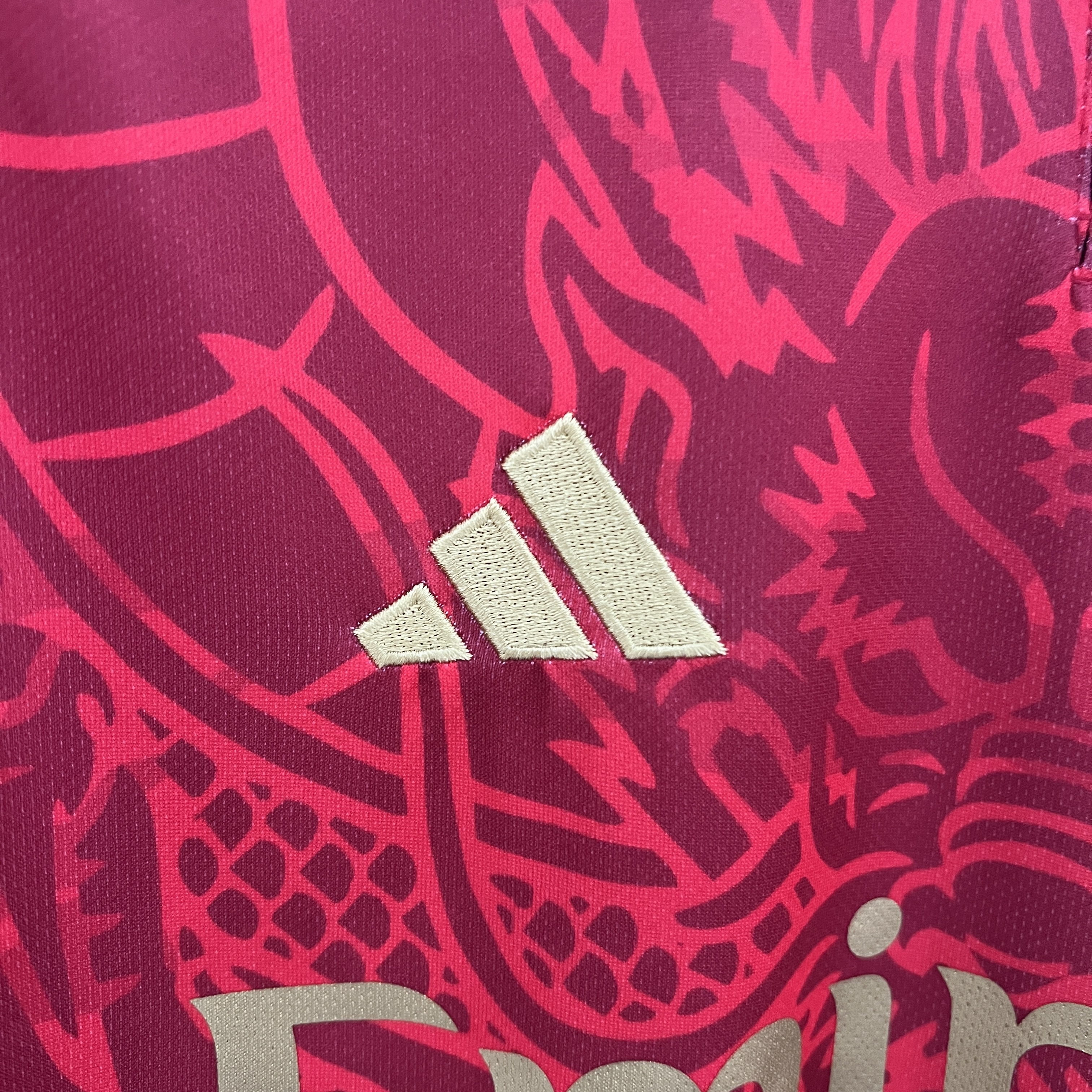 24/25 Real Madrid Special Edition red jersey