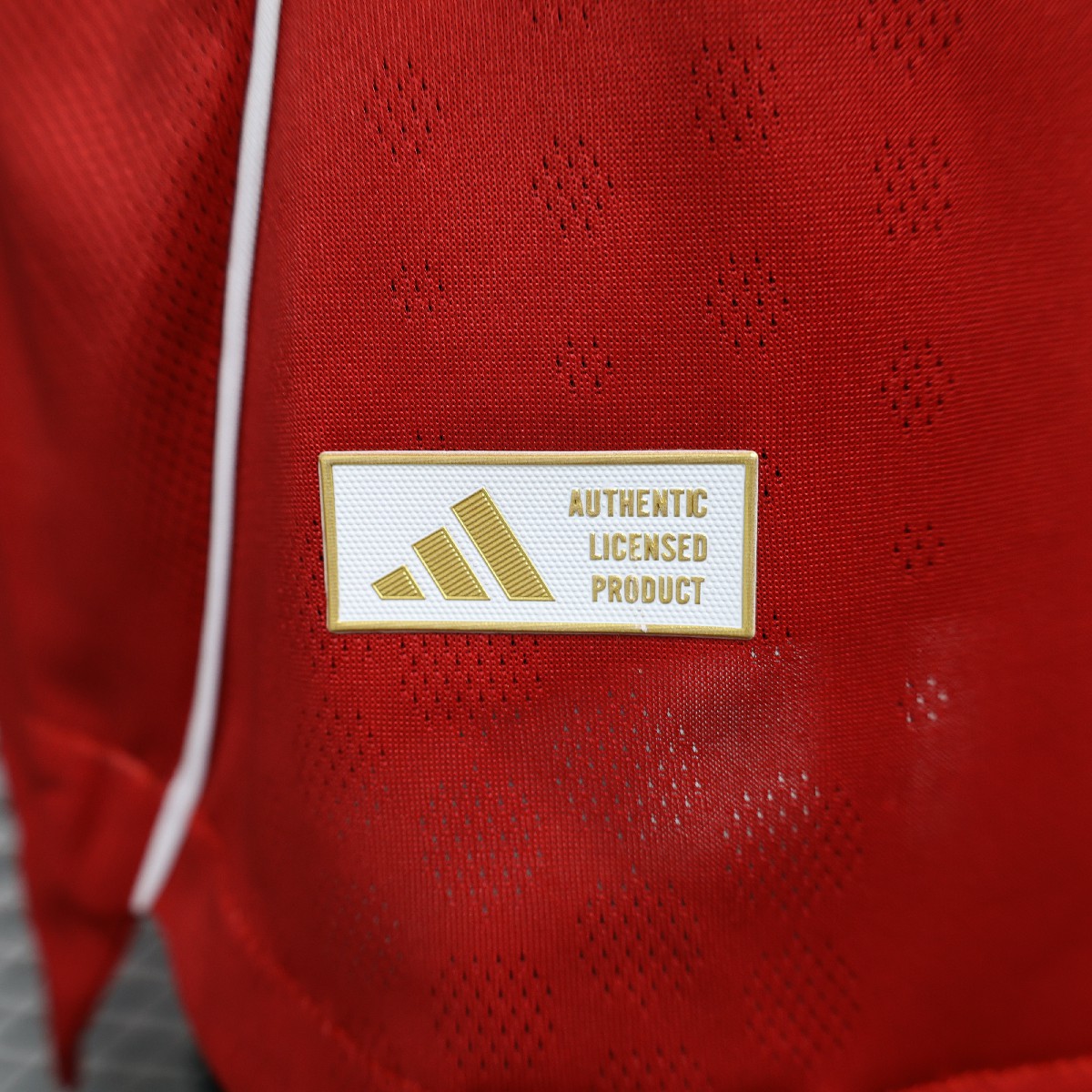 Manchester United Home 2025-26 Players Jerseys