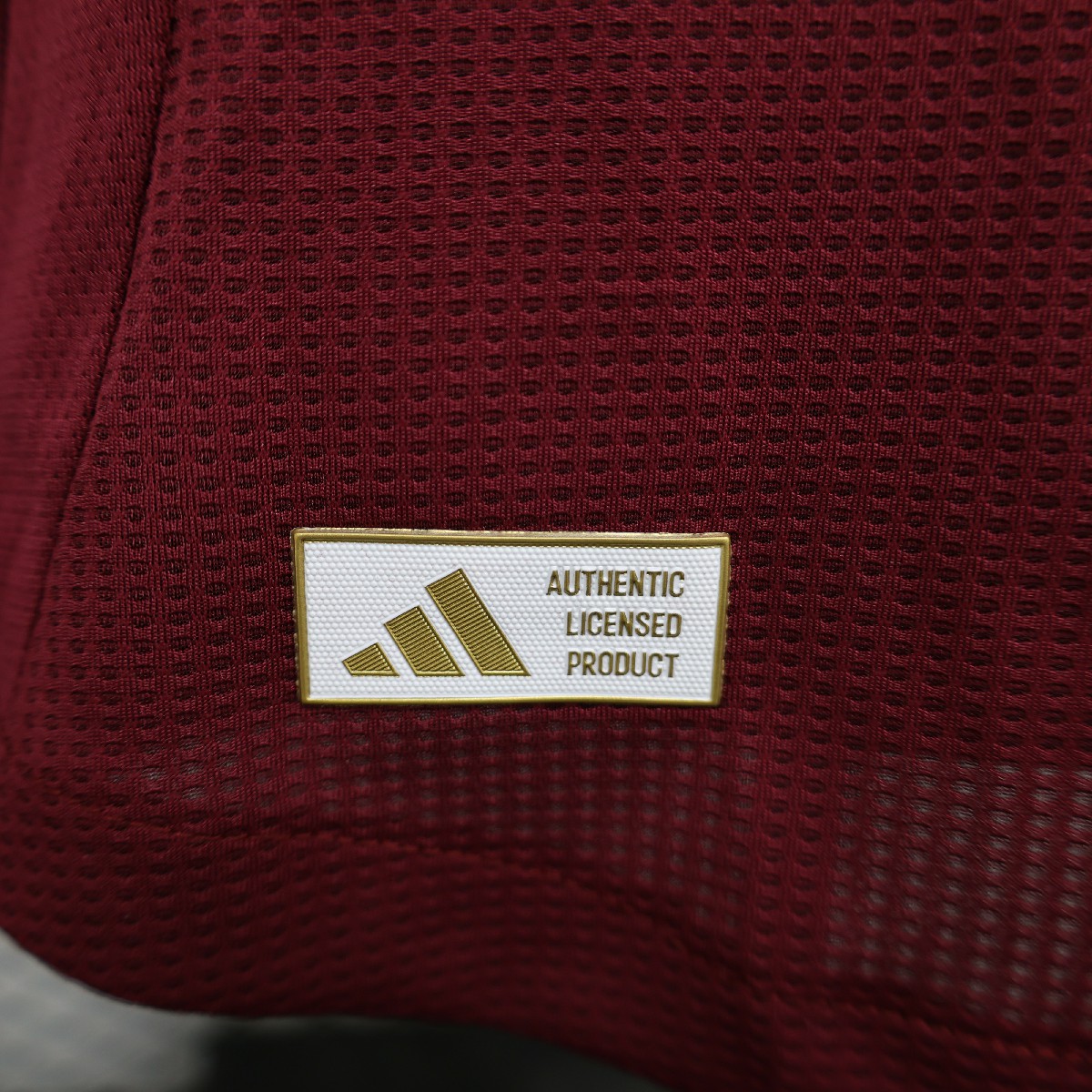 Aston Villa Home 2025-26 Players Jerseys