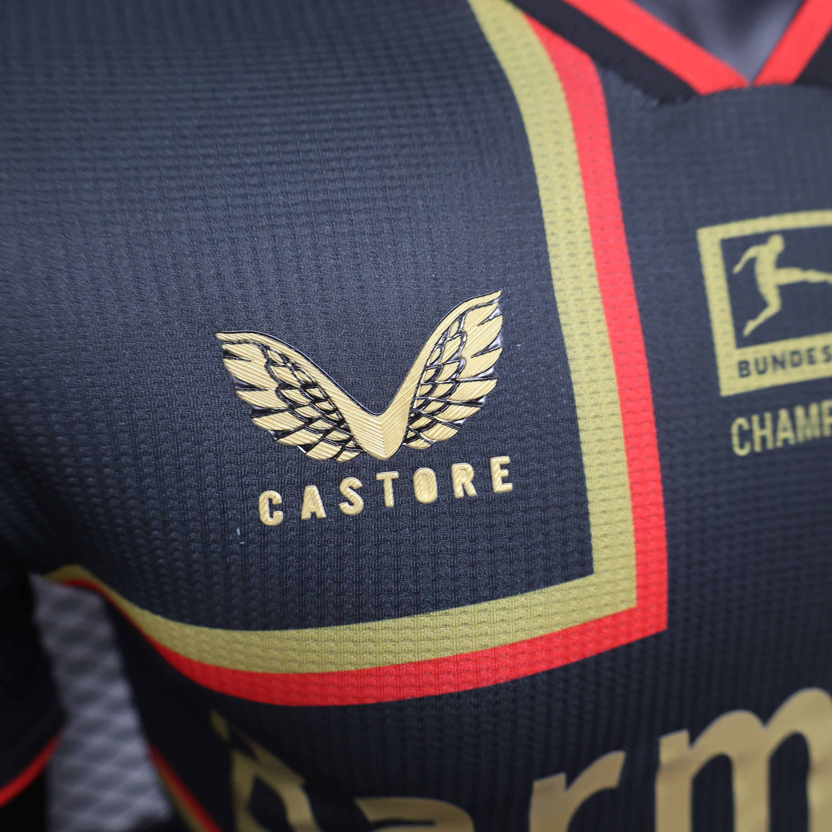 24/25 Player Leverkusen Champions Edition  jersey