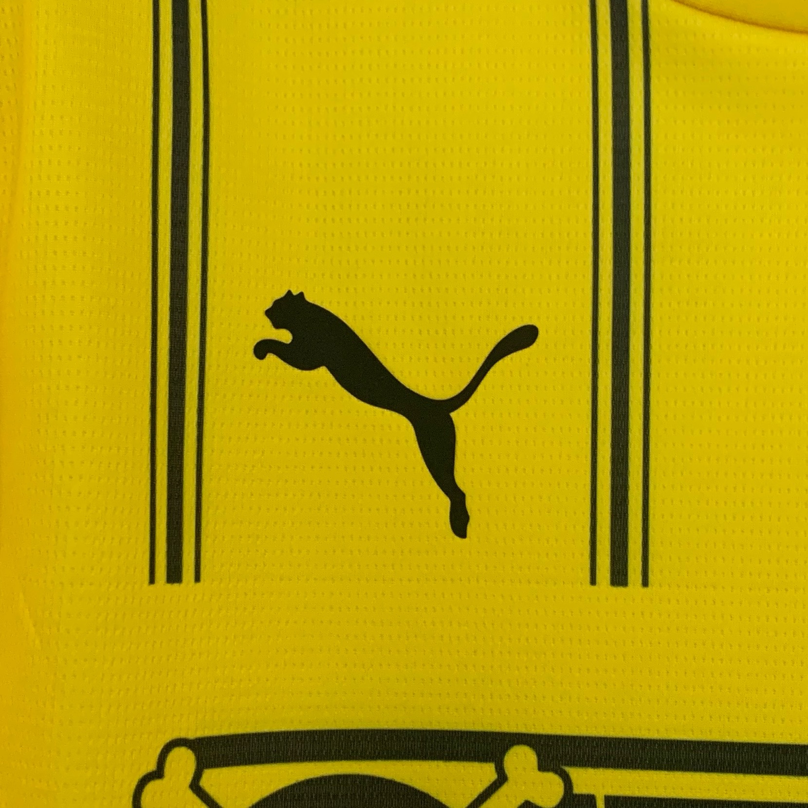 25/26 Dortmund Special Edition  jersey