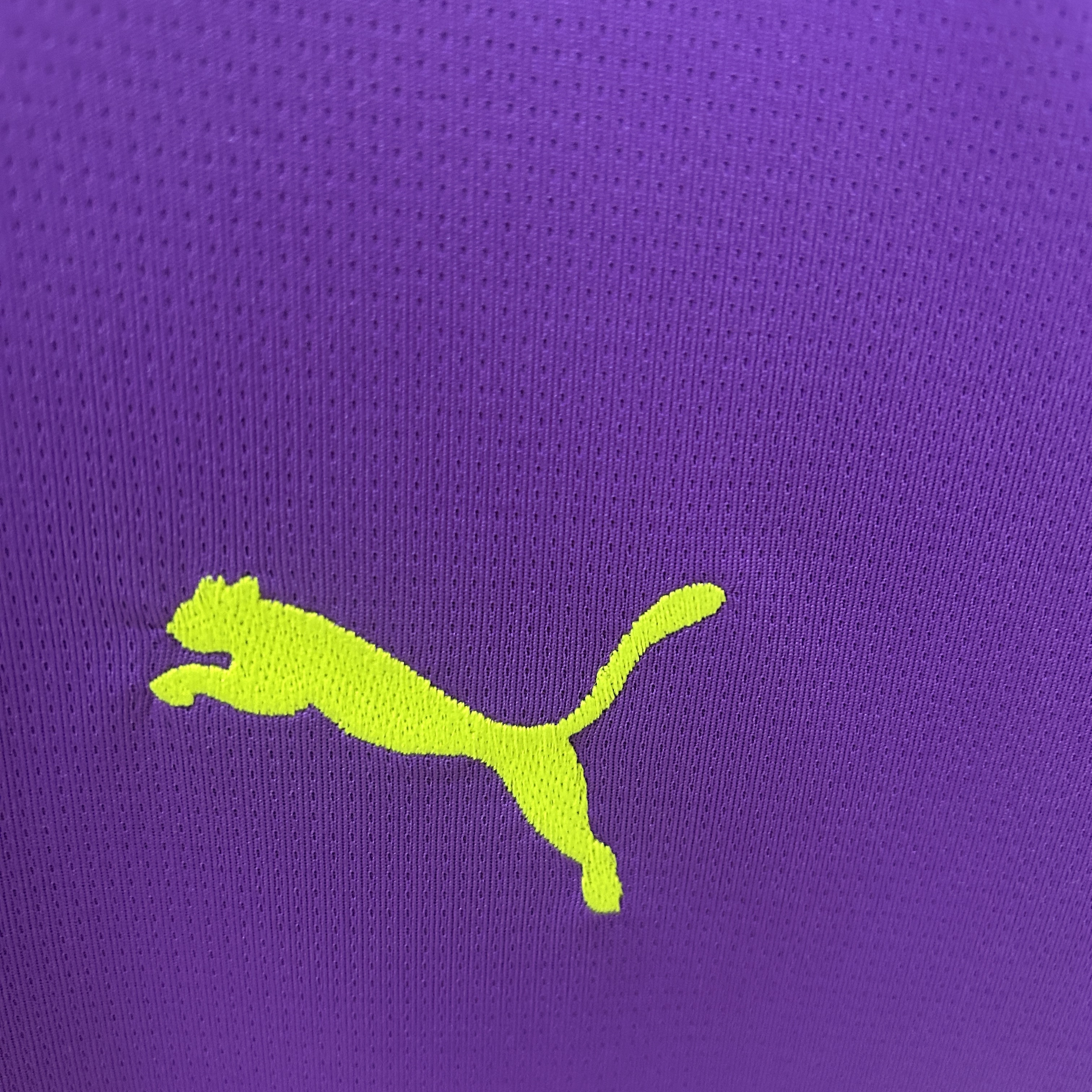 24/25 Goalkeeper Dortmund Purple  jersey