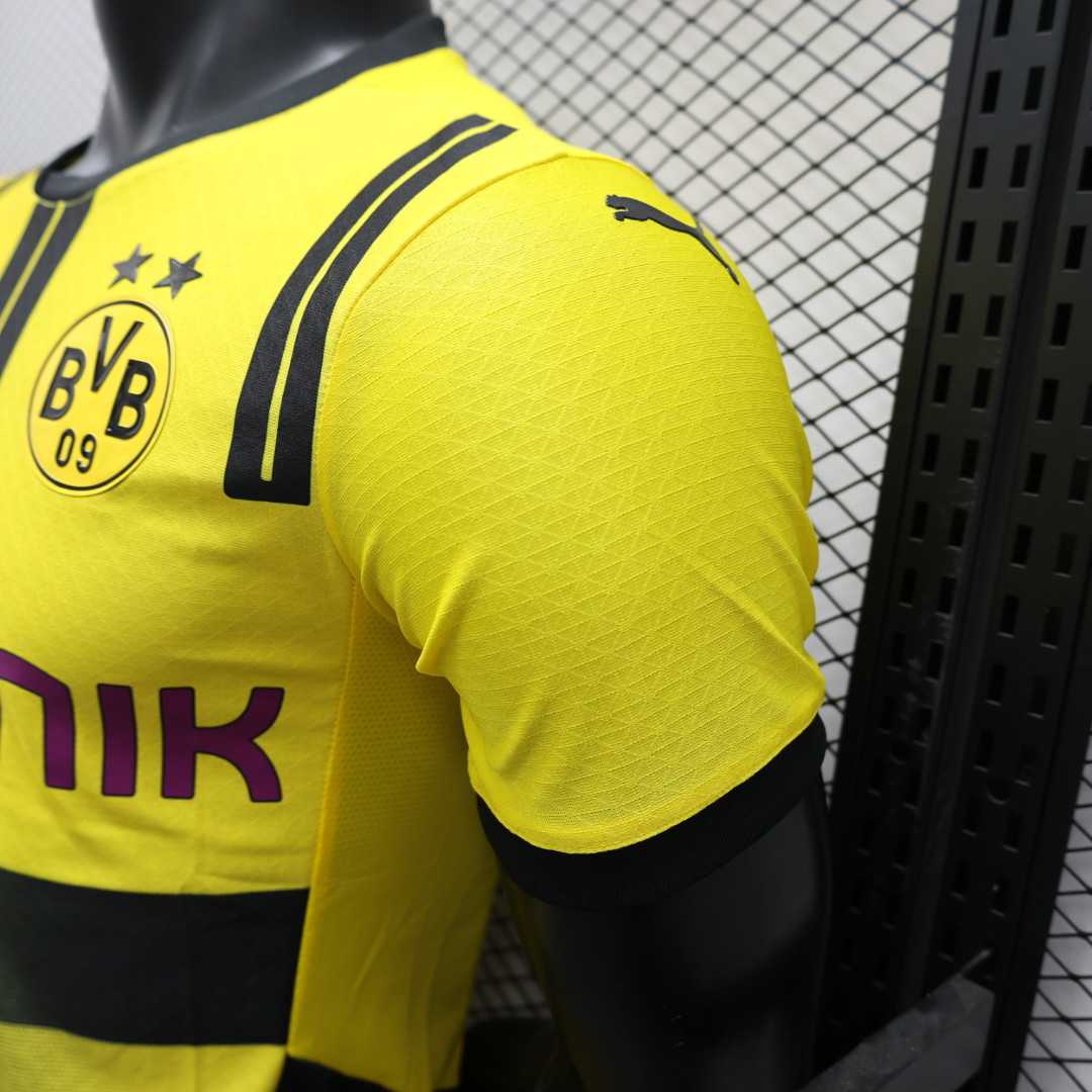 24/25 Player Dortmund Special Edition  jersey