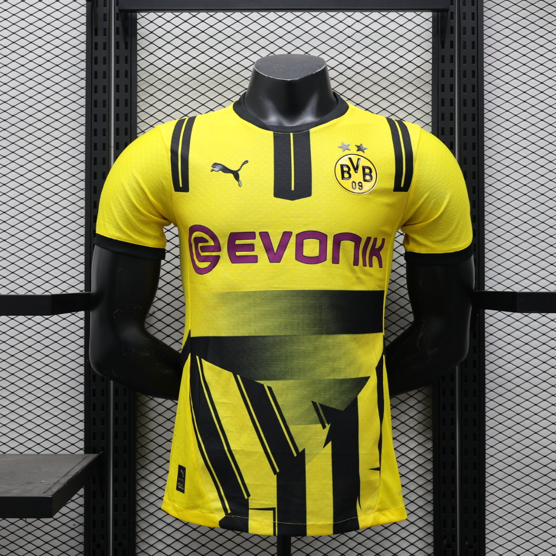 24/25 Player Dortmund Special Edition  jersey