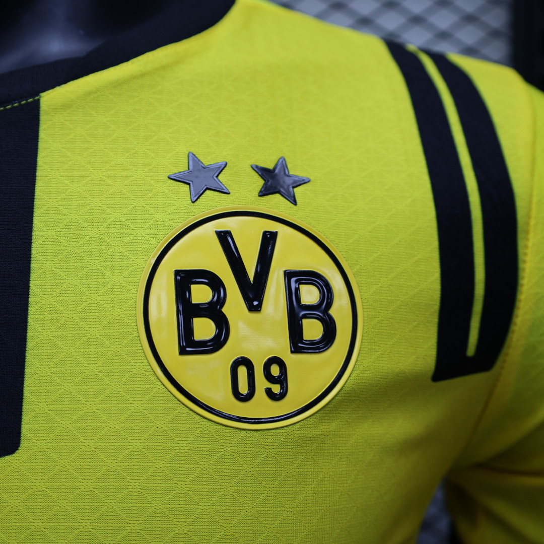 24/25 Player Dortmund Special Edition  jersey