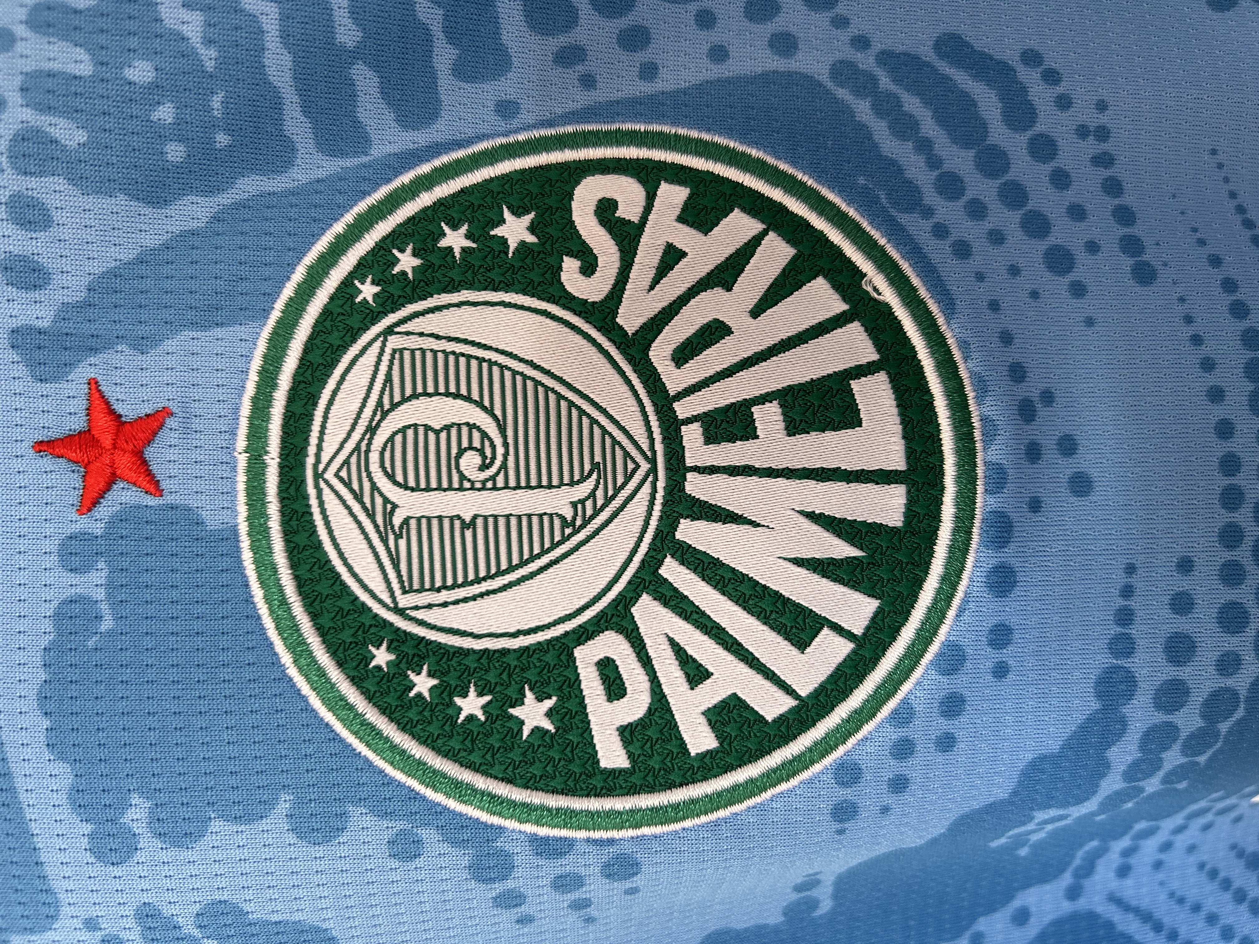 25/26 Goalkeeper Palmeiras Blue Jersey