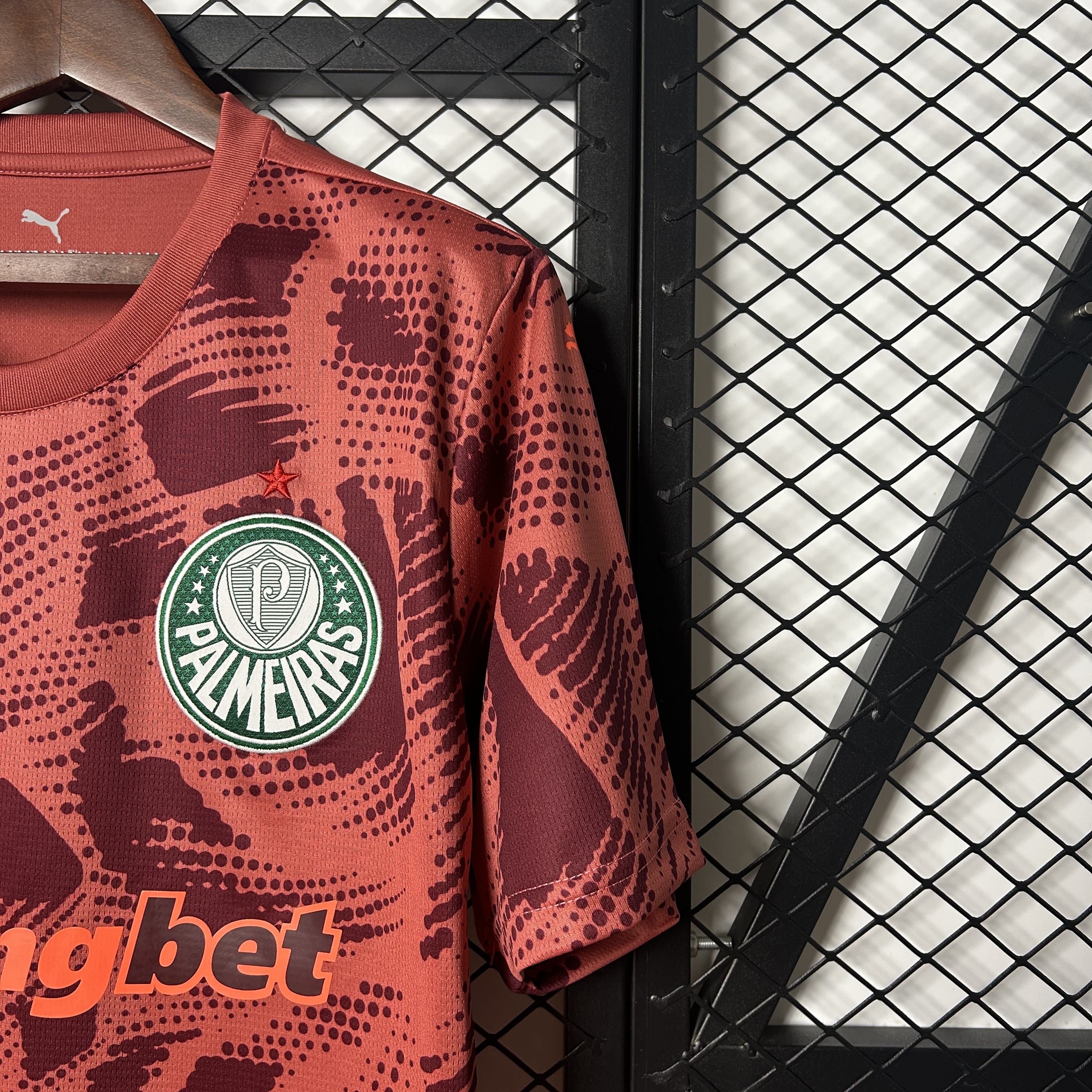 25/26 Palmeiras Goalkeeper  jersey
