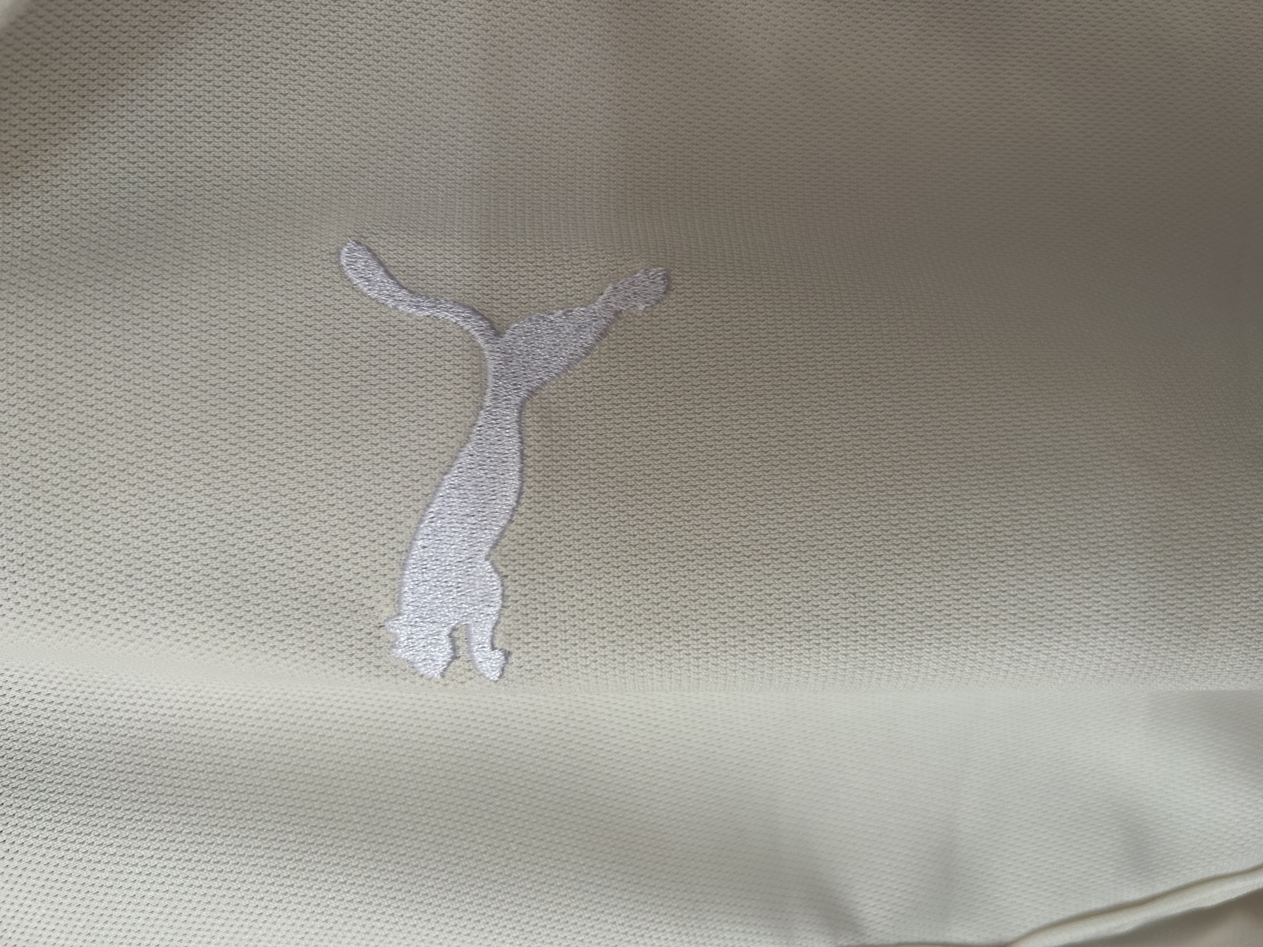 25/26 polo Palmeiras white suit