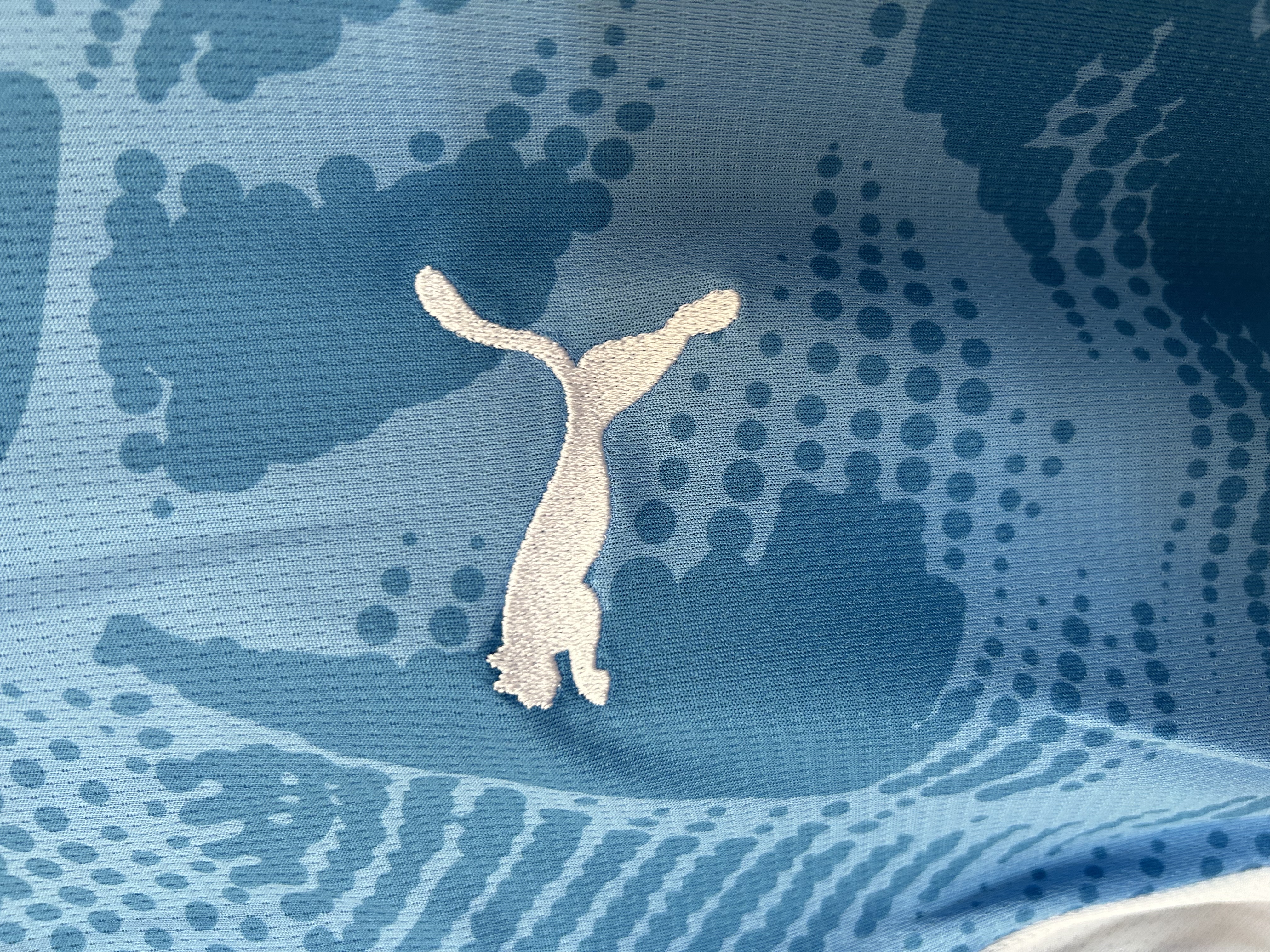 25/26 Goalkeeper Palmeiras Blue Jersey