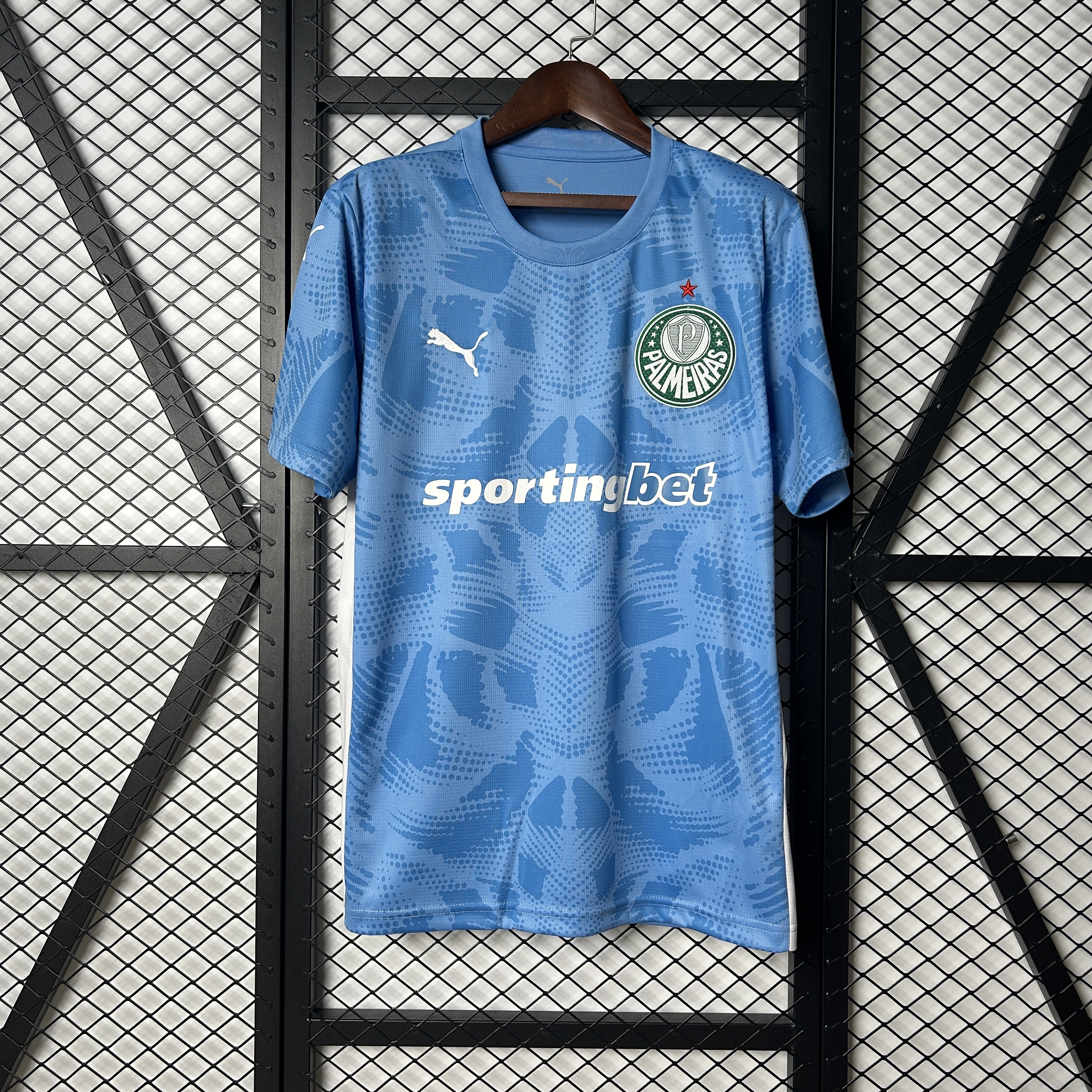 25/26 Palmeiras Goalkeeper jersey